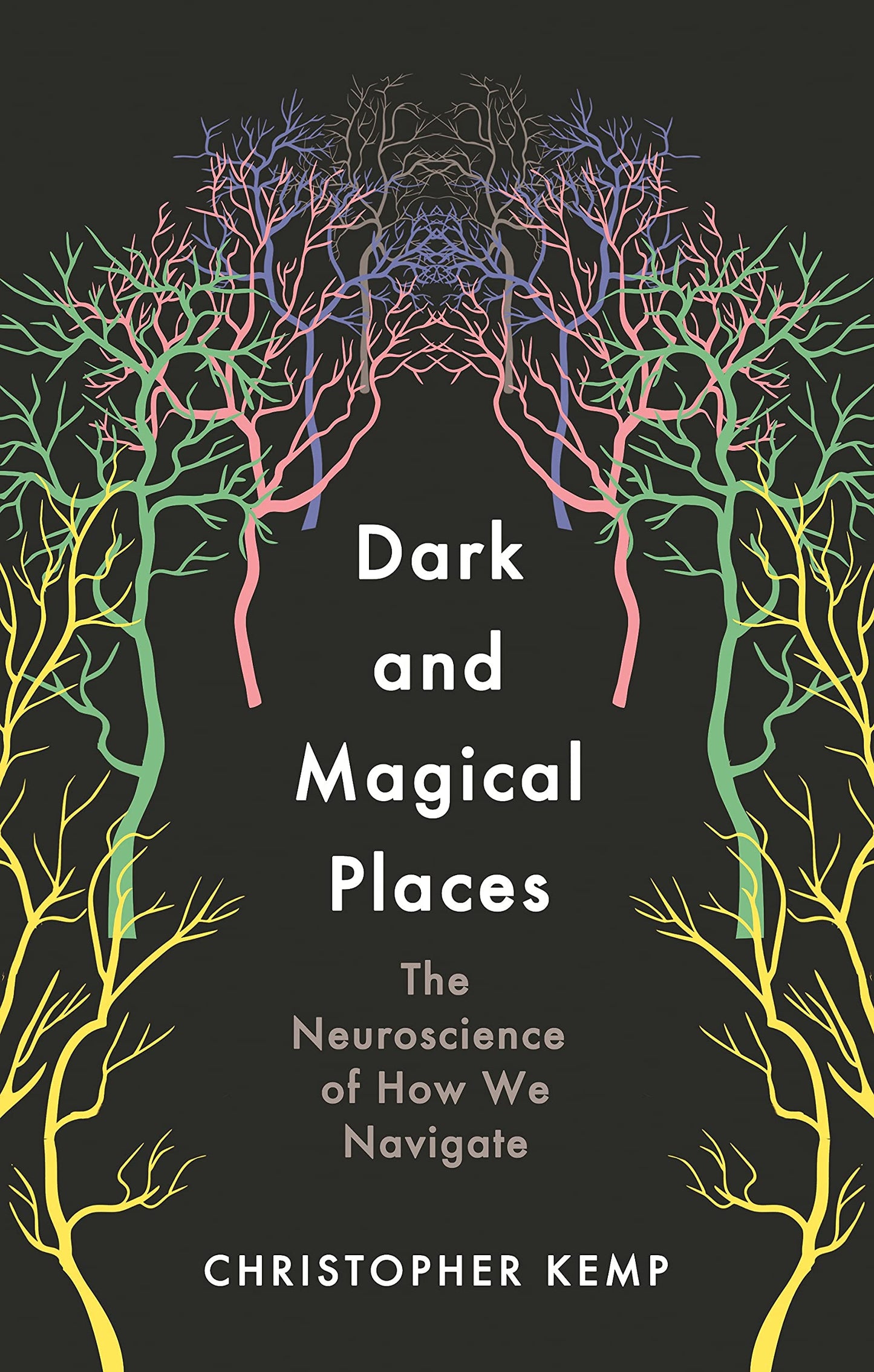 DARK AND MAGICAL PLACES book cover