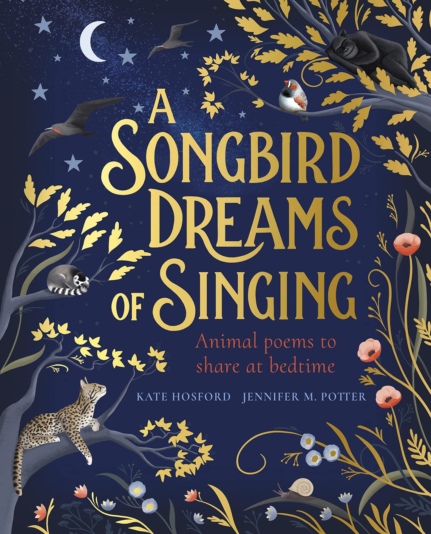 A Songbird Dreams of Singing book cover