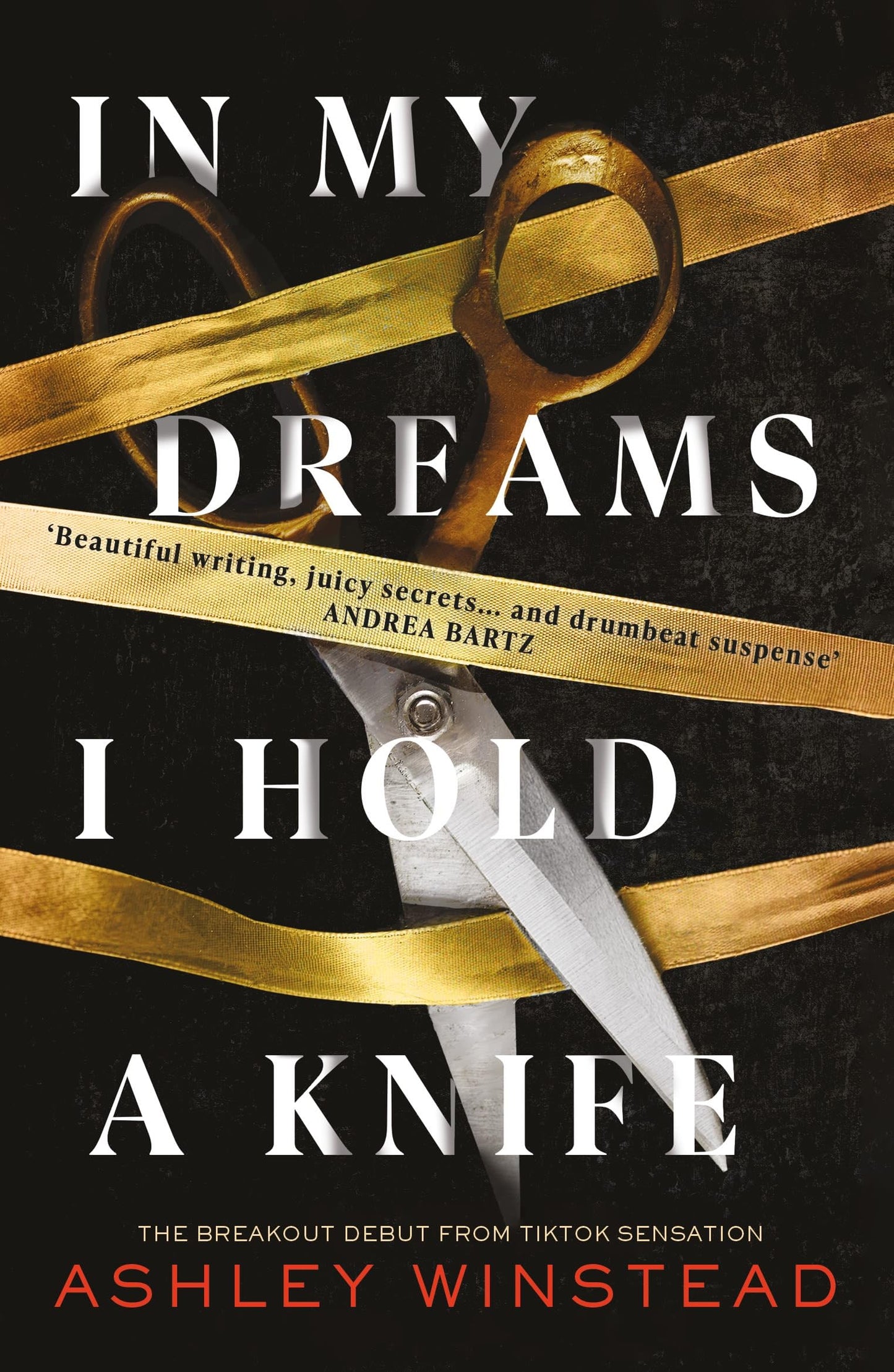 IN MY DREAMS I HOLD A KNIFE book cover