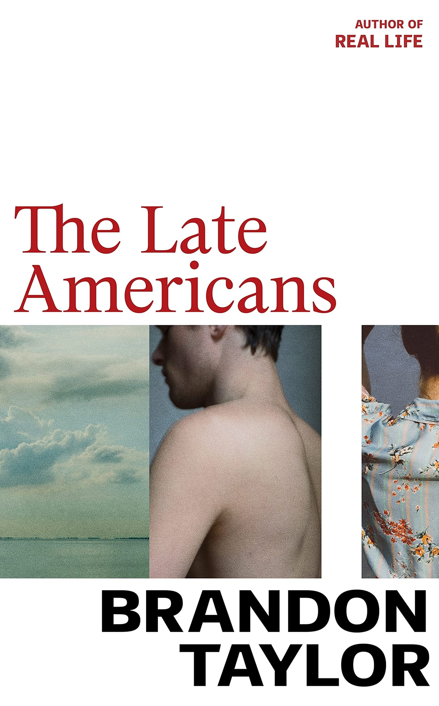 The Late Americans book cover