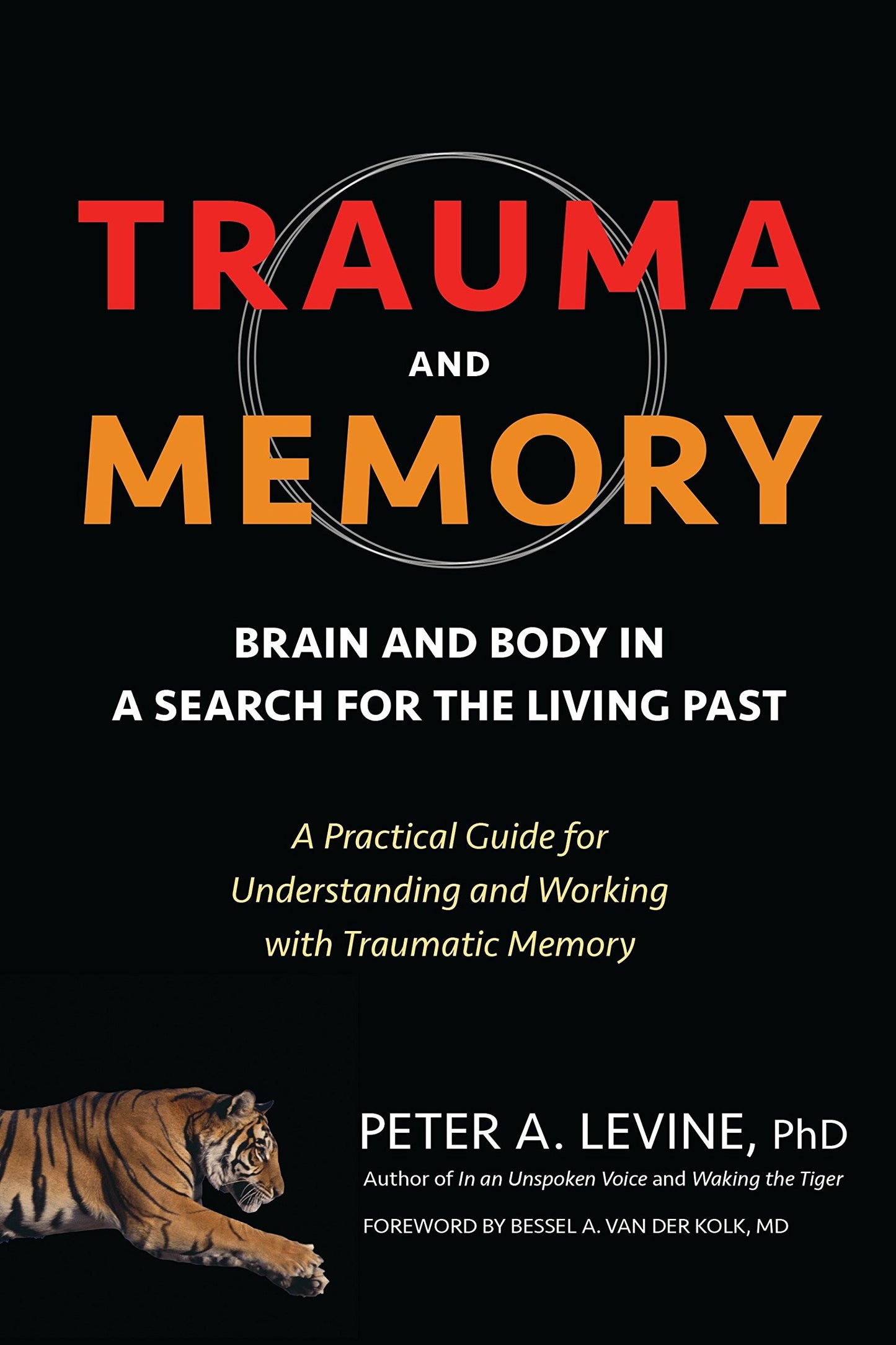 Trauma and Memory book cover