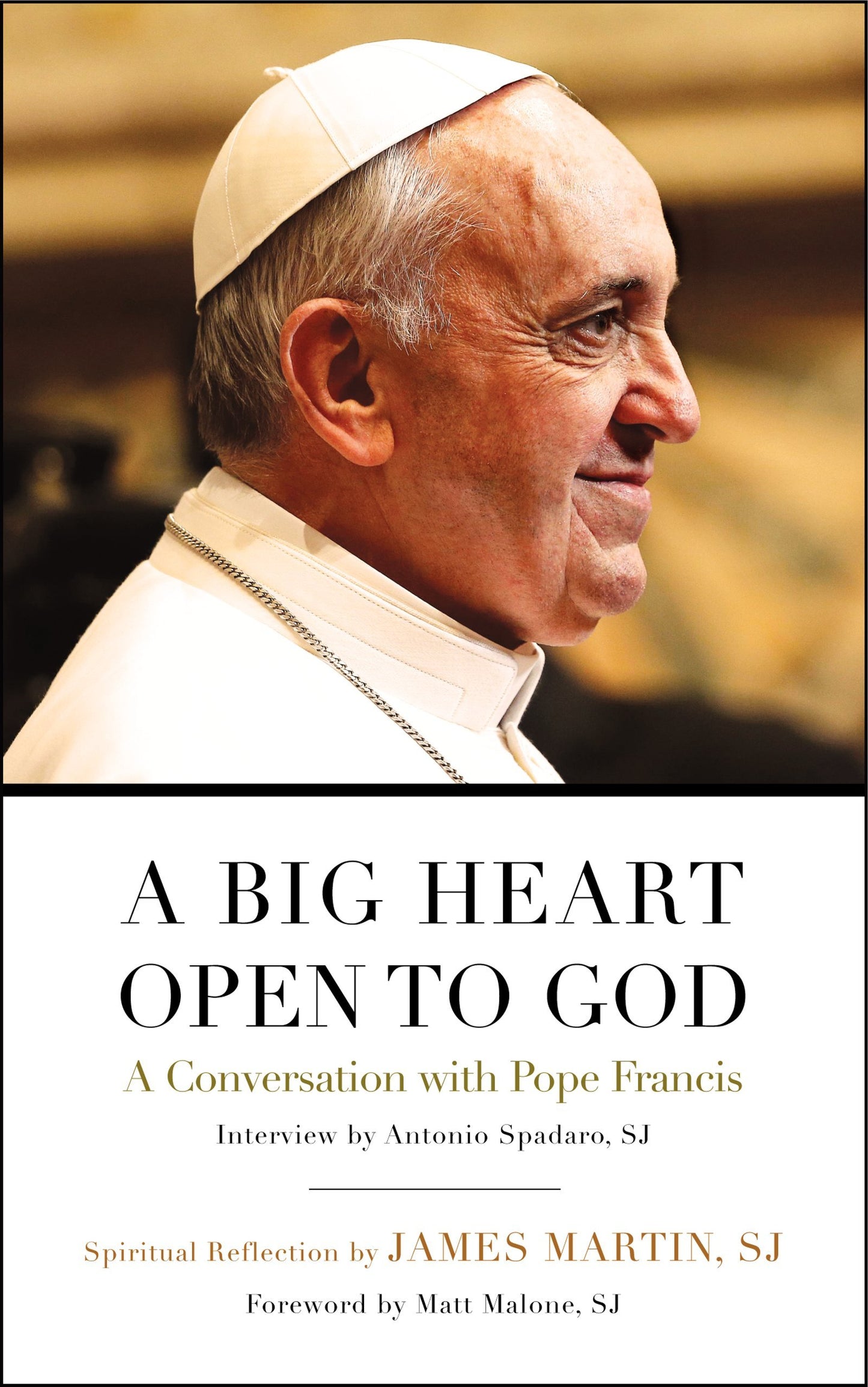 A Big Heart Open to God: A Conversation with Pope Francis book cover