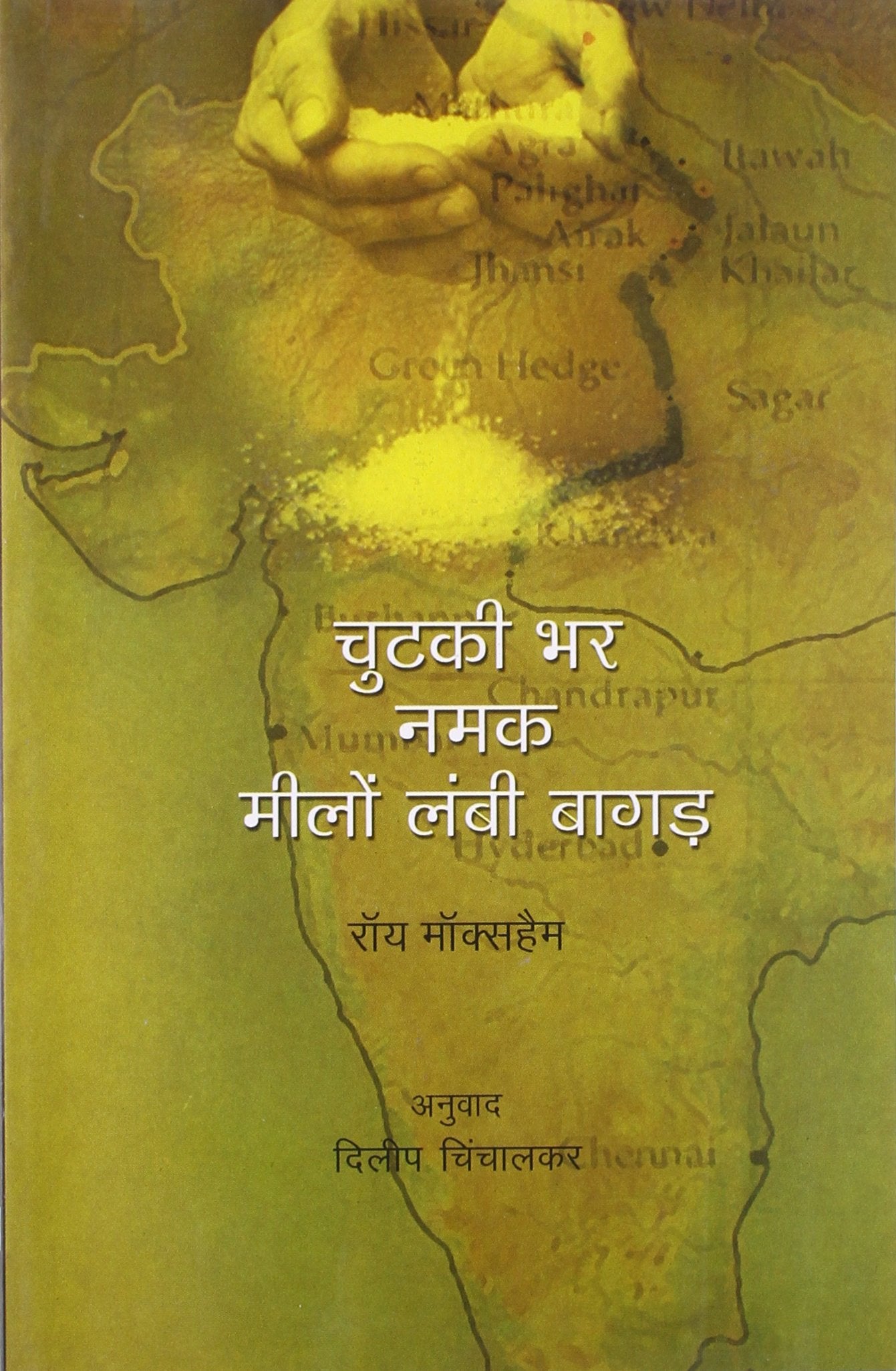 CHUTKI BHAR NAMAKE MEELON LAMBI BAGA book cover