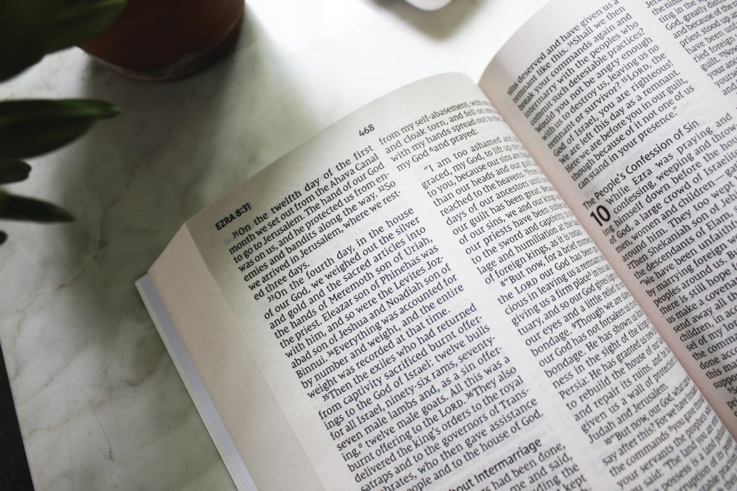 Holy Bible: New International Version