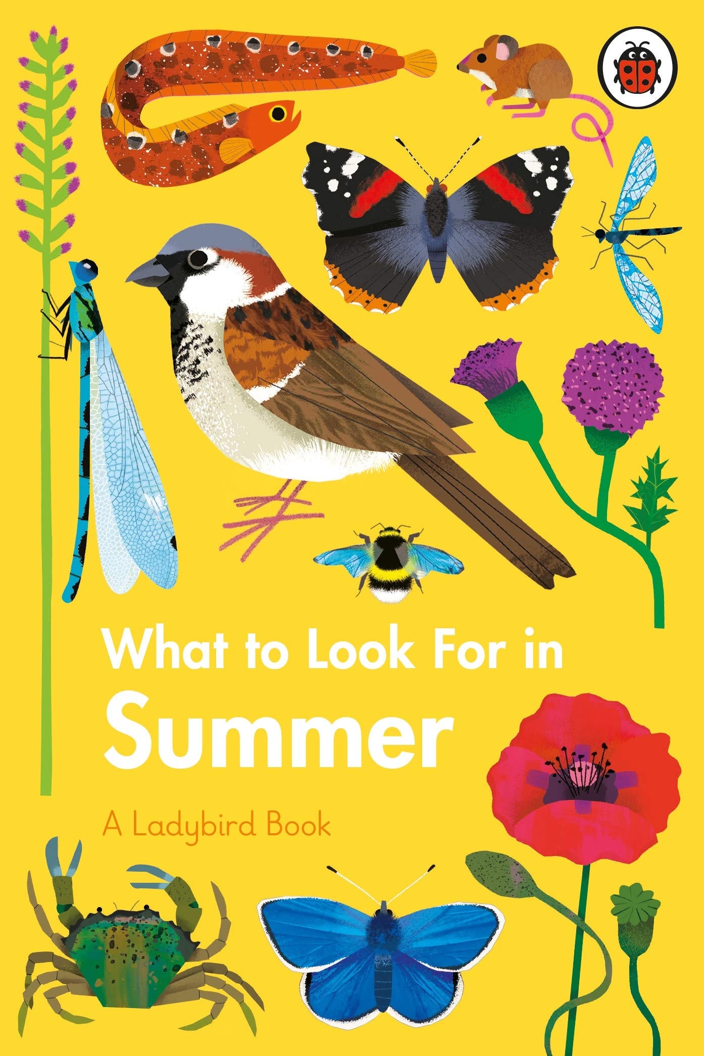 What to Look For in Summer book cover