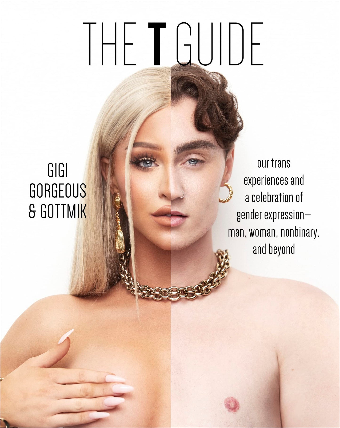 The T Guide book cover