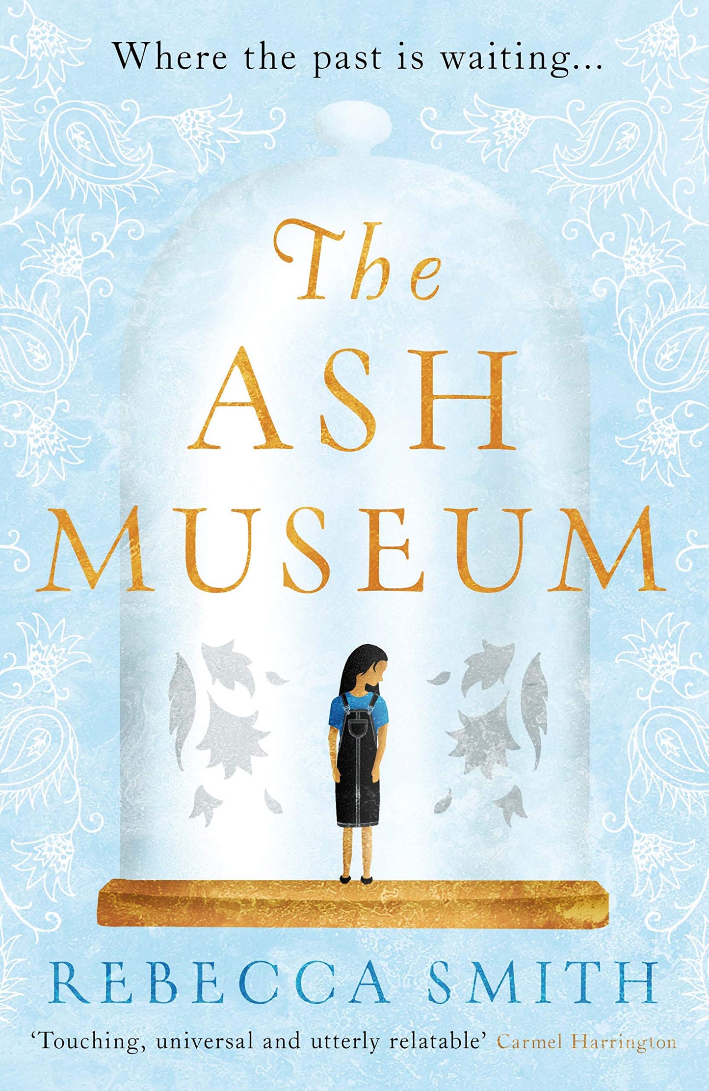 The Ash Museum (Lead) book cover