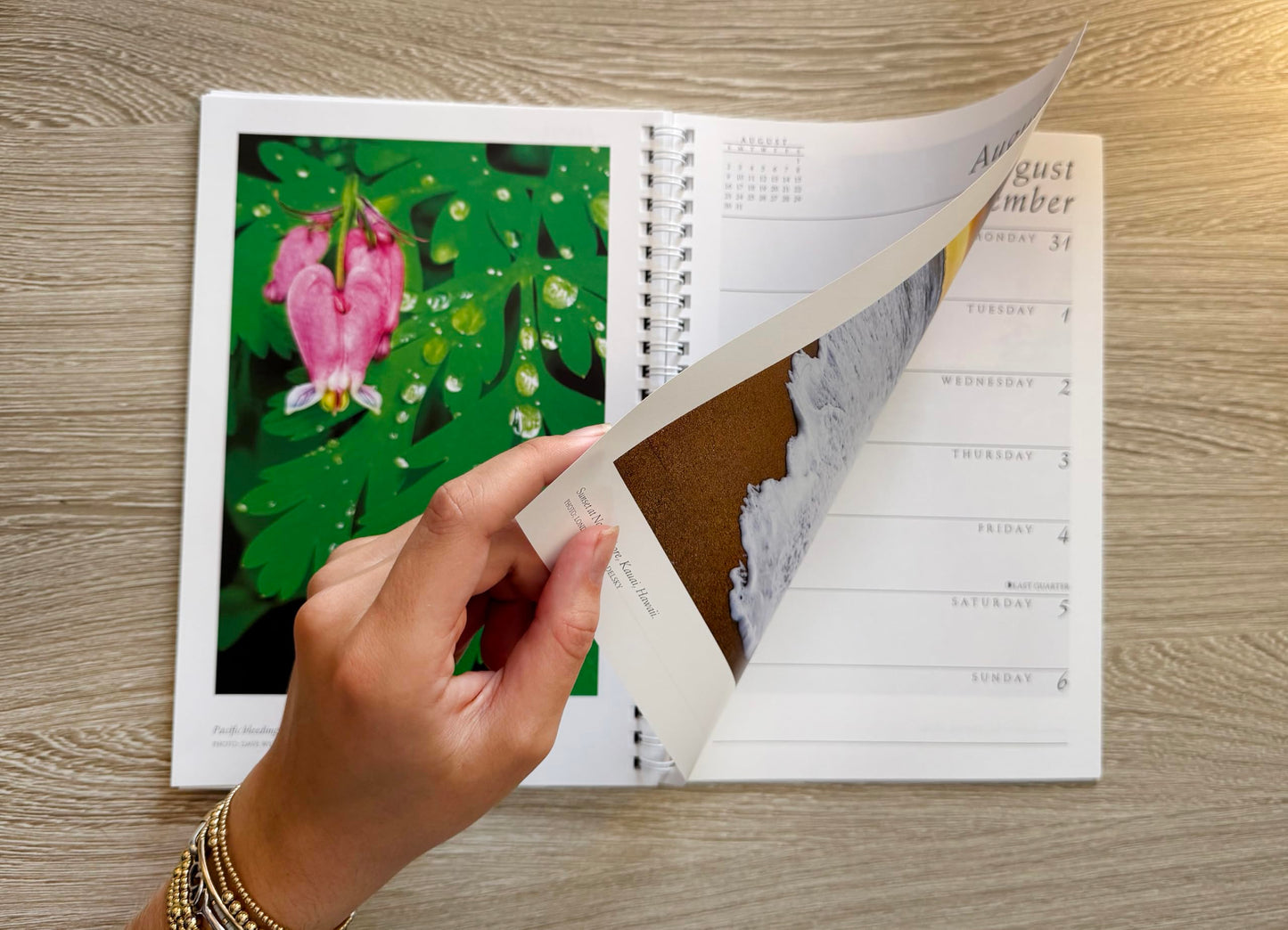 Sierra Club Engagement Calendar 2026