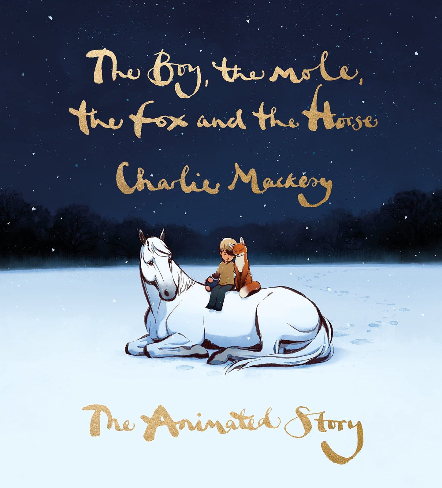 Boy, The Mole, The Fox And The Horse Mti book cover