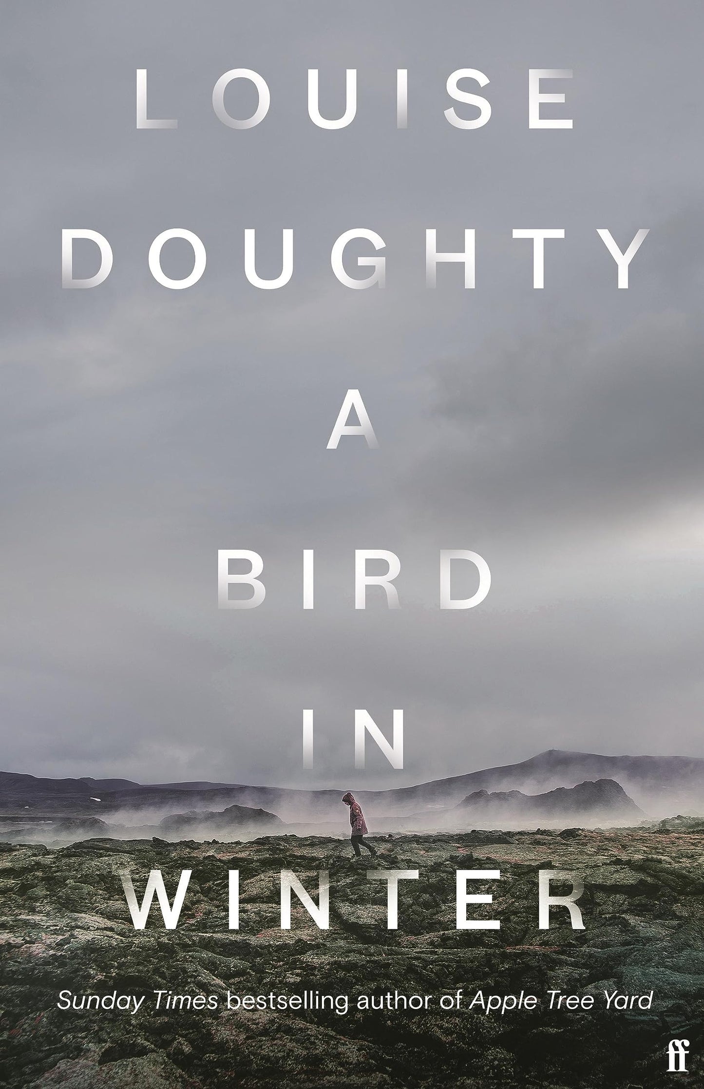 A Bird in Winter book cover