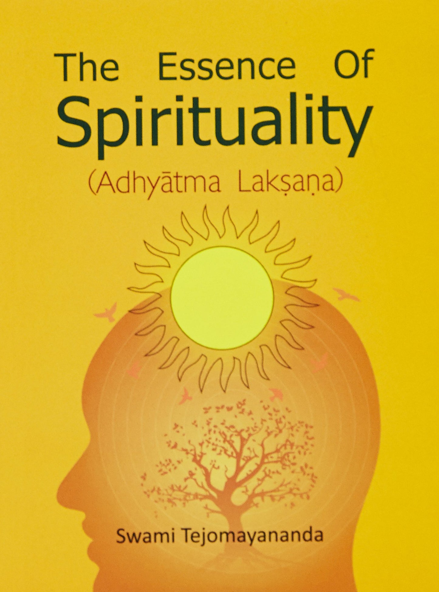 Adhyatma Lakshana: The Essence of Spirituality book cover