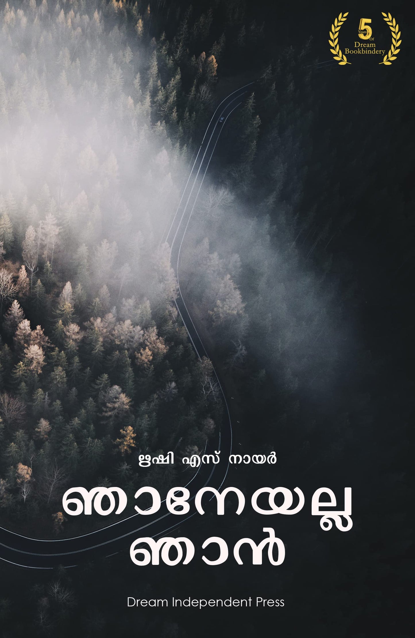 NJAANEYALLA NJAN book cover
