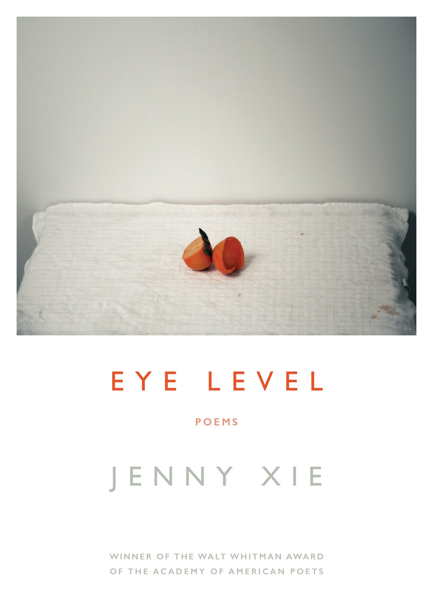 Eye Level: Poems book cover