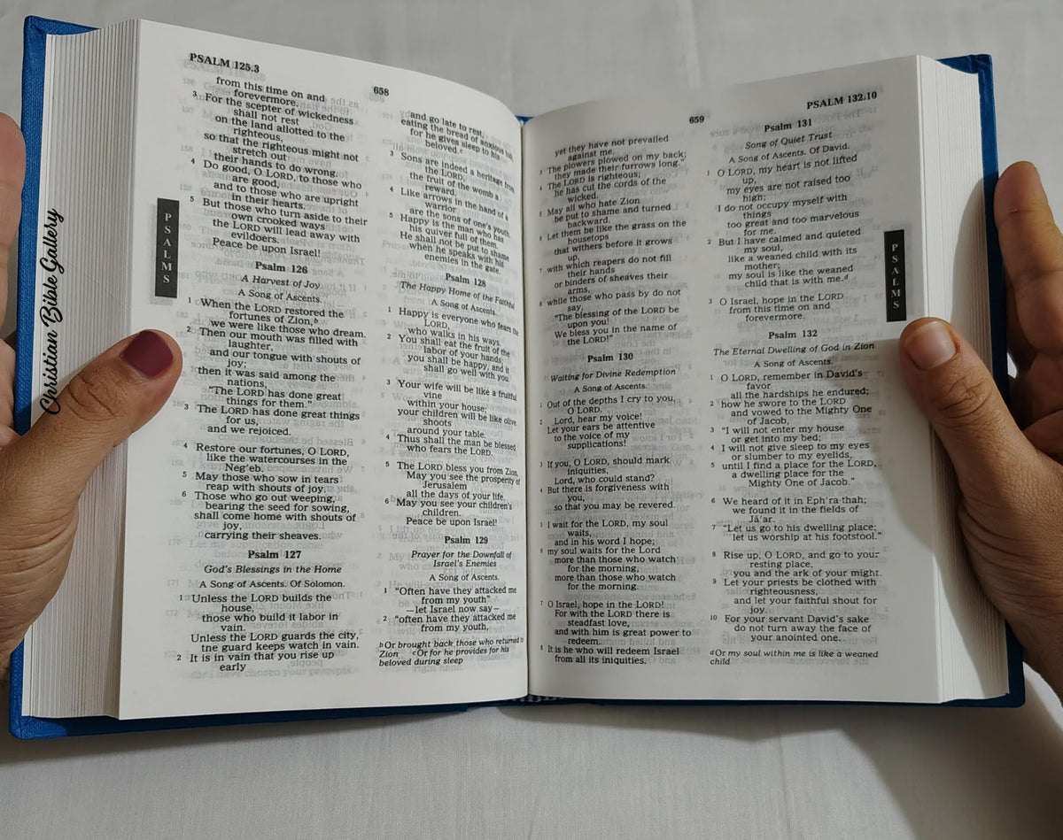 Catholic Holy Bible NRSV (NEW REVISED STANDARD VERSION ) Latest Edition Containing Old and New Testaments by P.O.C