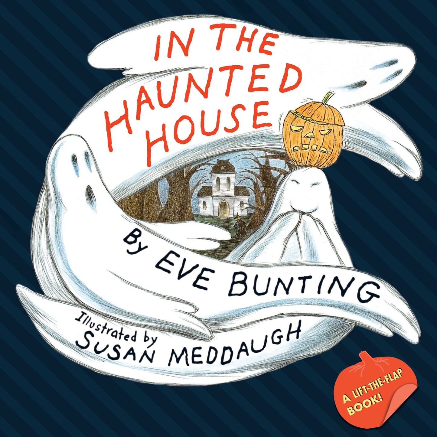 IN THE HAUNTED HOUSE TOUCH & FEEL LIFT THE FLAP BOOK book cover