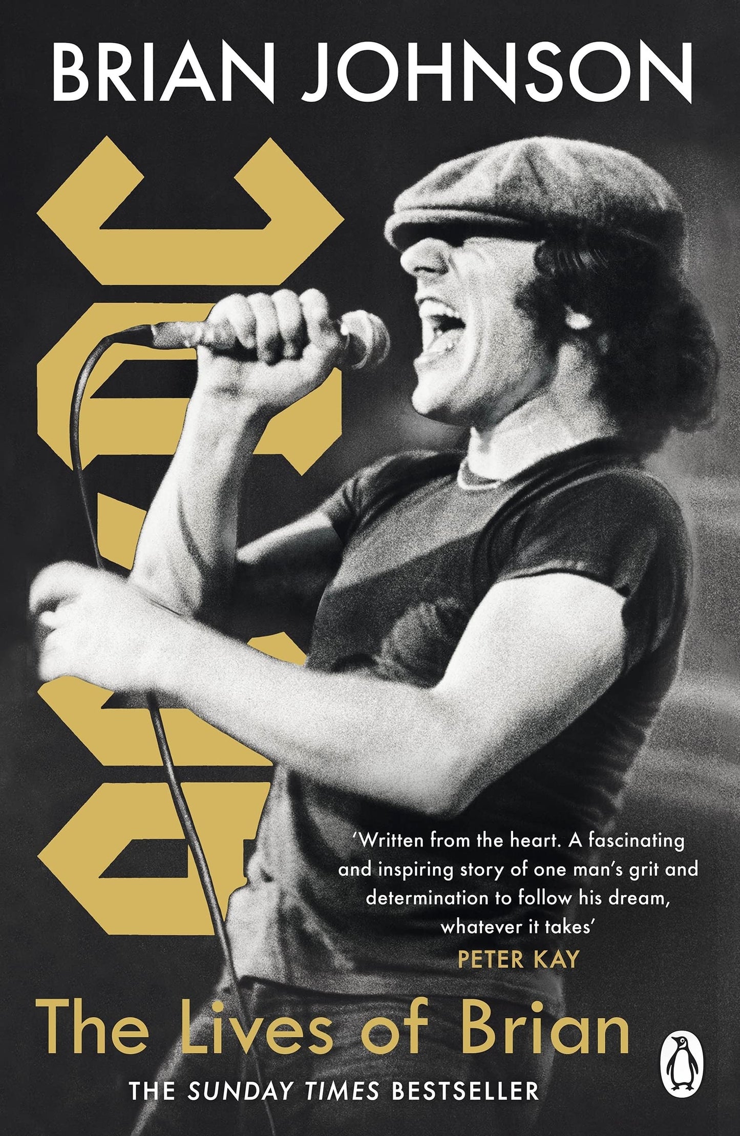 The Lives of Brian book cover