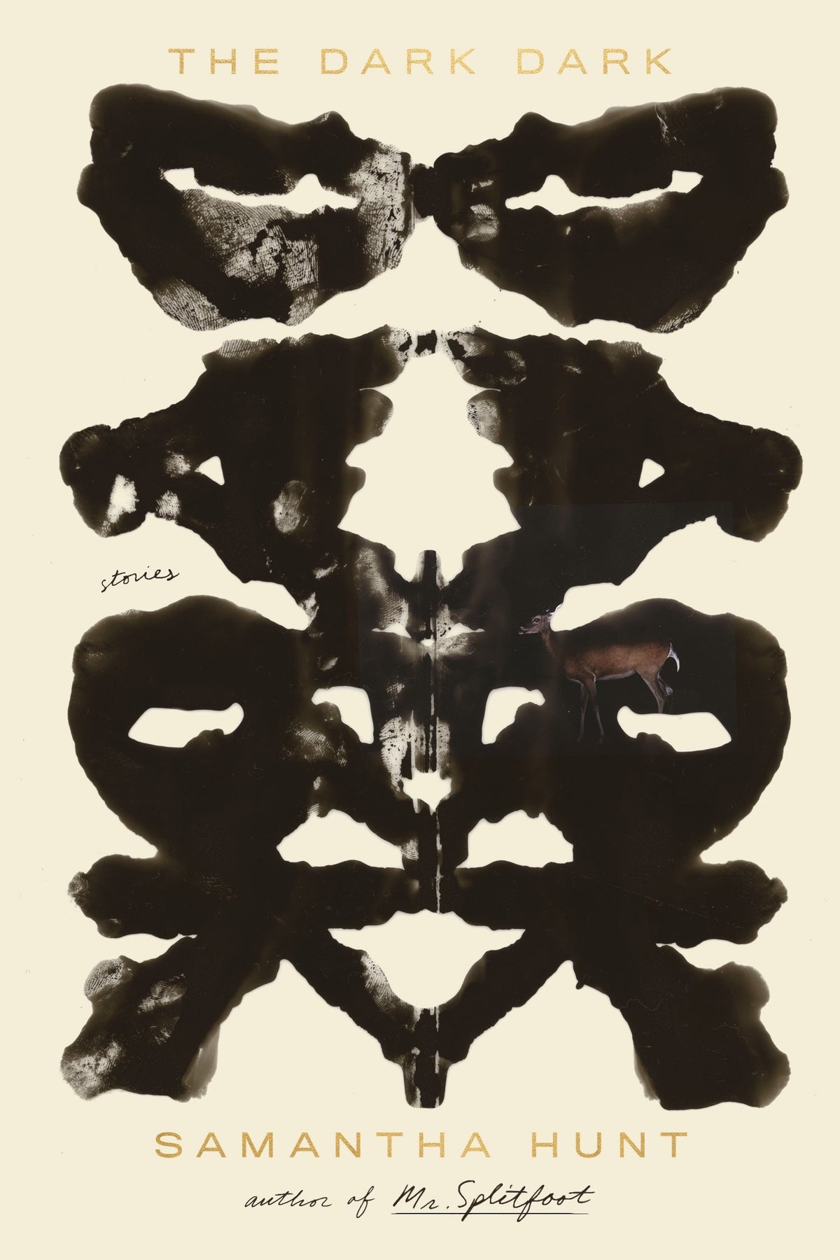 DARK DARK: STORIES book cover