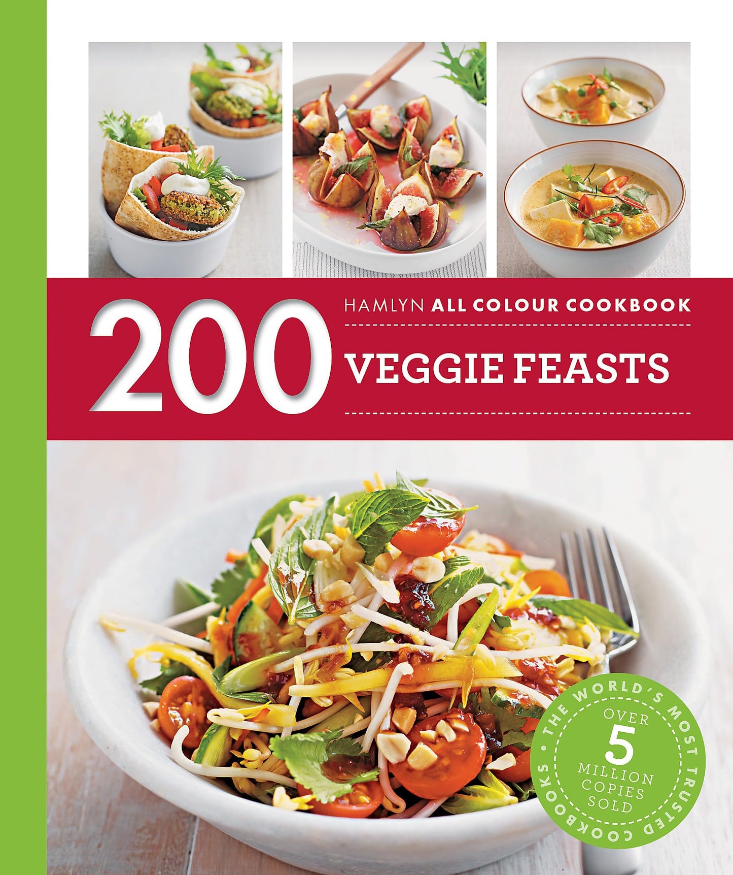 200 VEGGIE FEASTS book cover