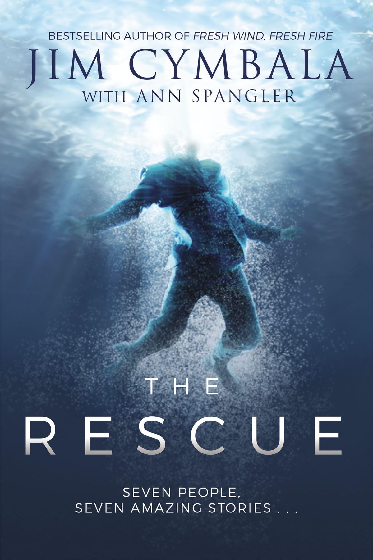 The Rescue: Seven People, Seven Amazing Stories. book cover