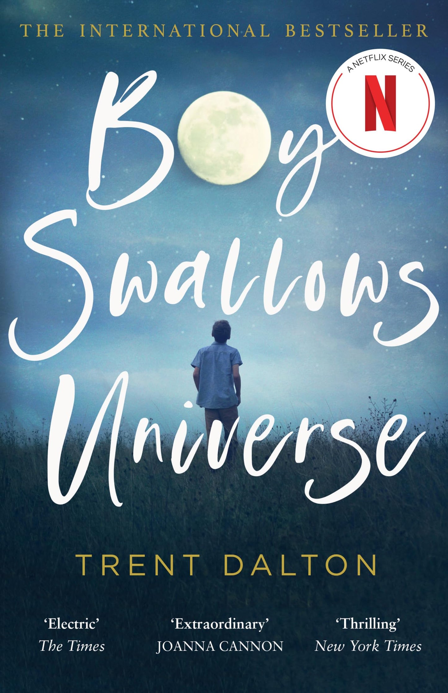 Boy Swallows Universe: The International Bestseller book cover