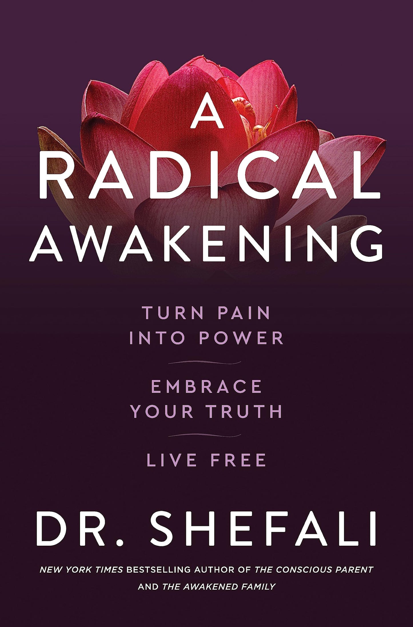 A Radical Awakening book cover