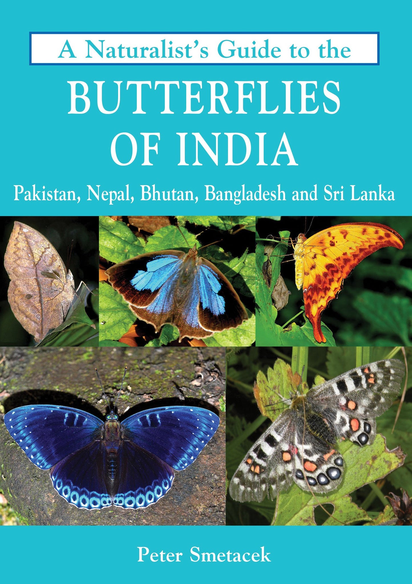 A Naturalist’s Guide to the Butterflies of India by Peter Smetacek book cover