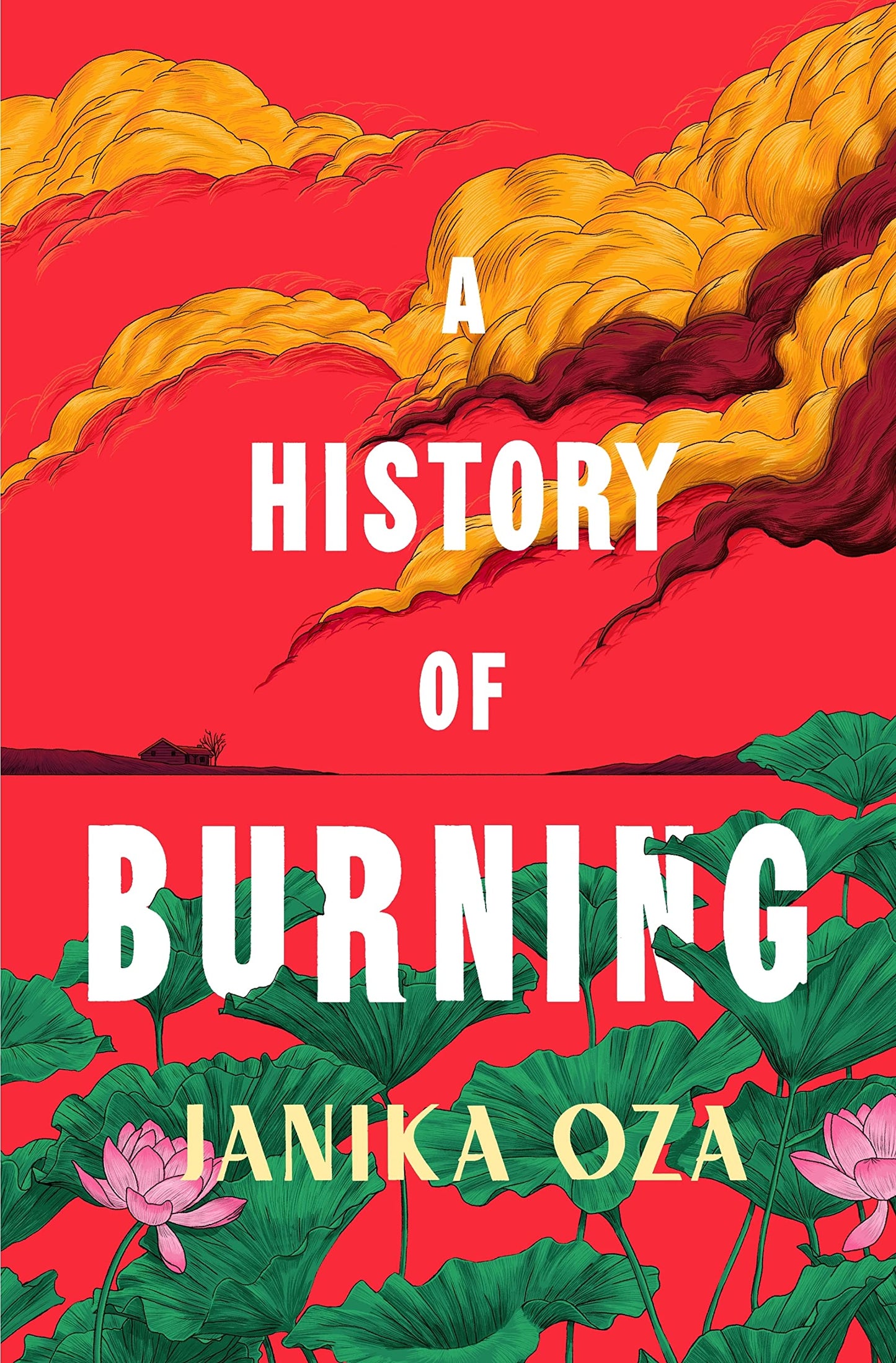 A History of Burning book cover