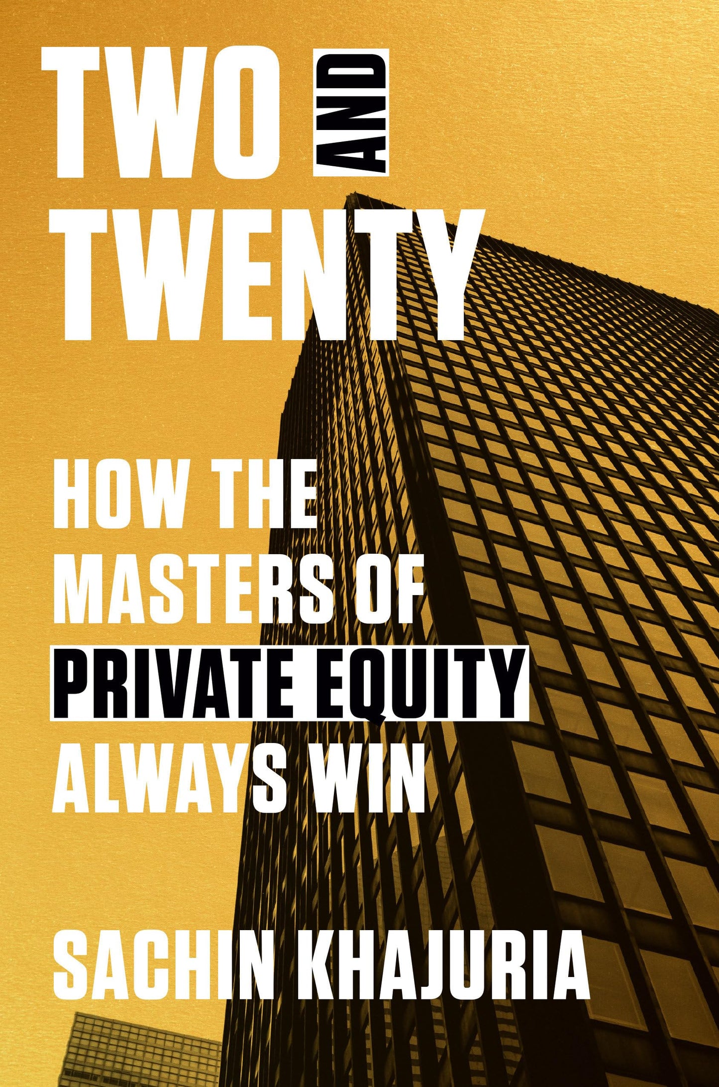 Two and Twenty: How the Masters of Private Equity Always Win book cover