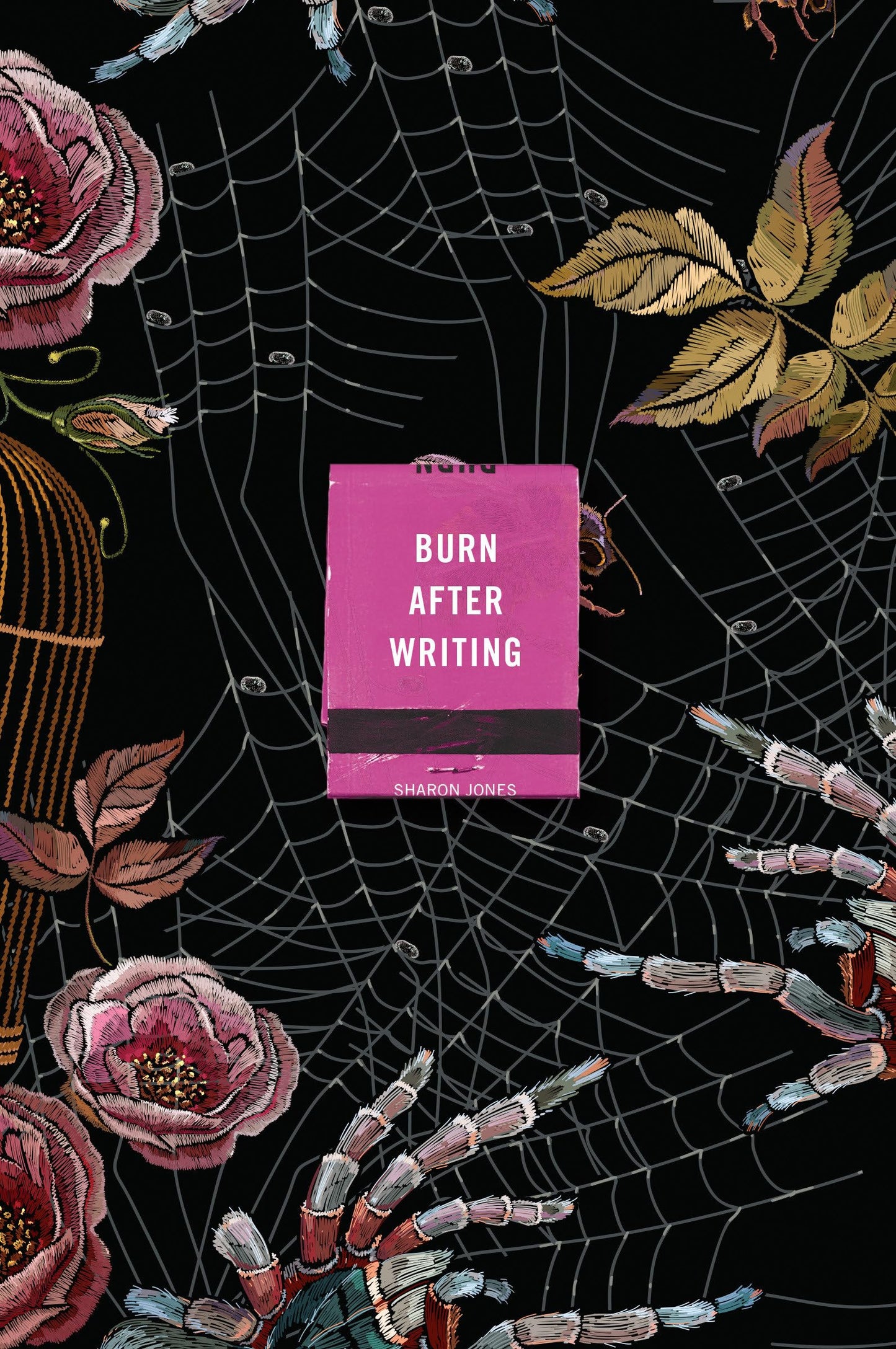 Burn After Writing (Spiders) book cover