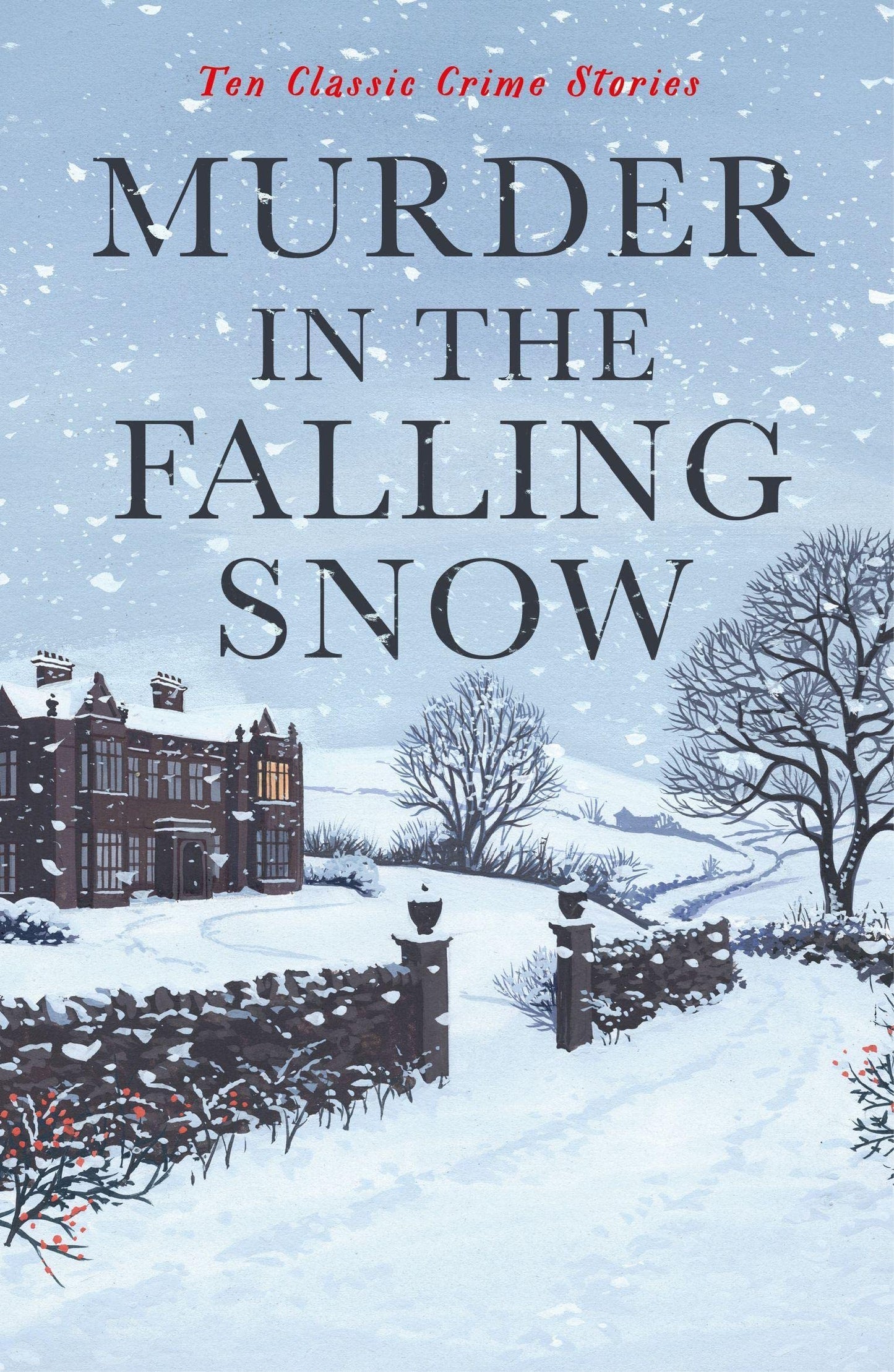 Murder in the Falling Snow book cover