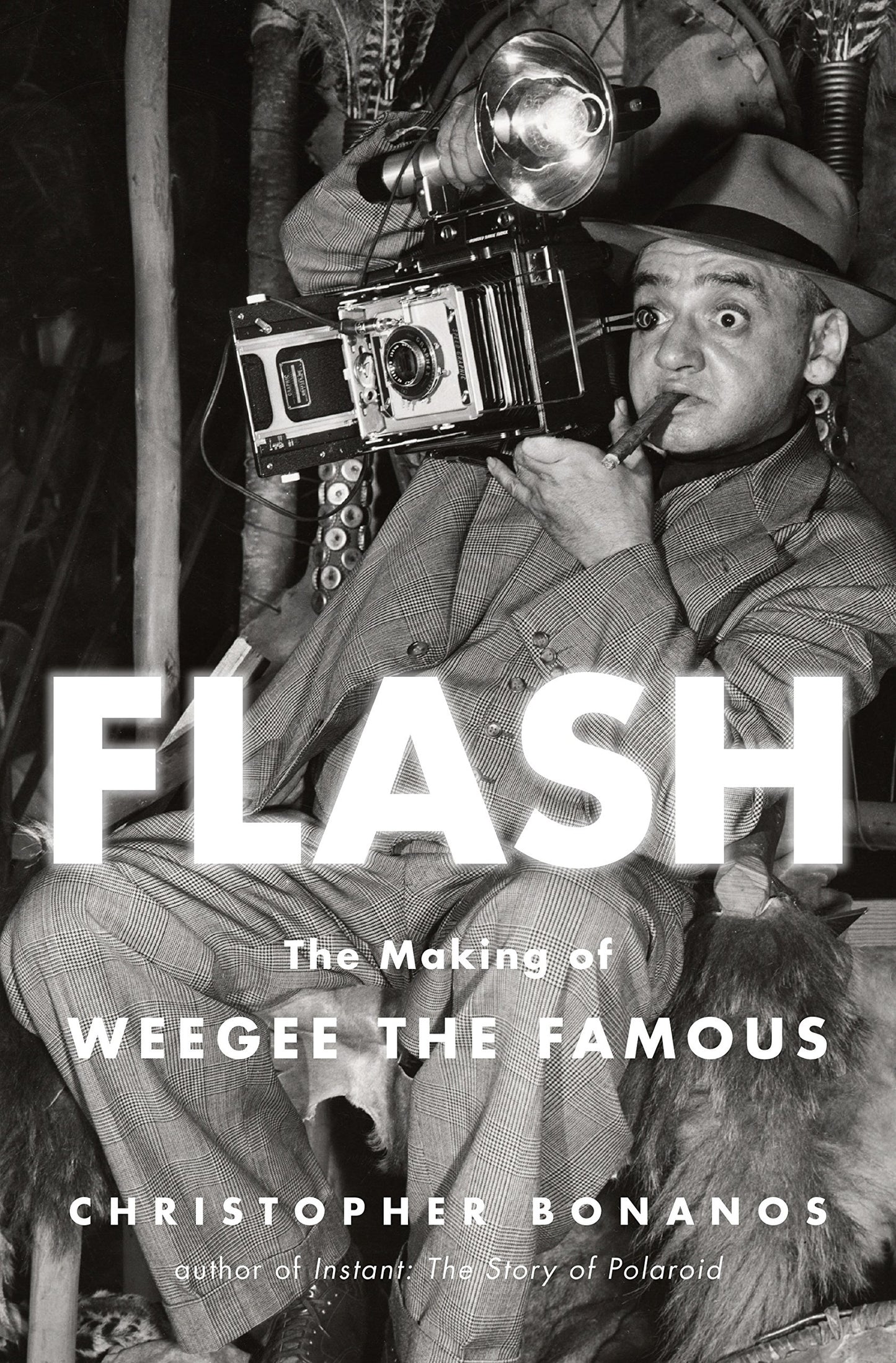 Flash: The Making of Weegee the Famous book cover