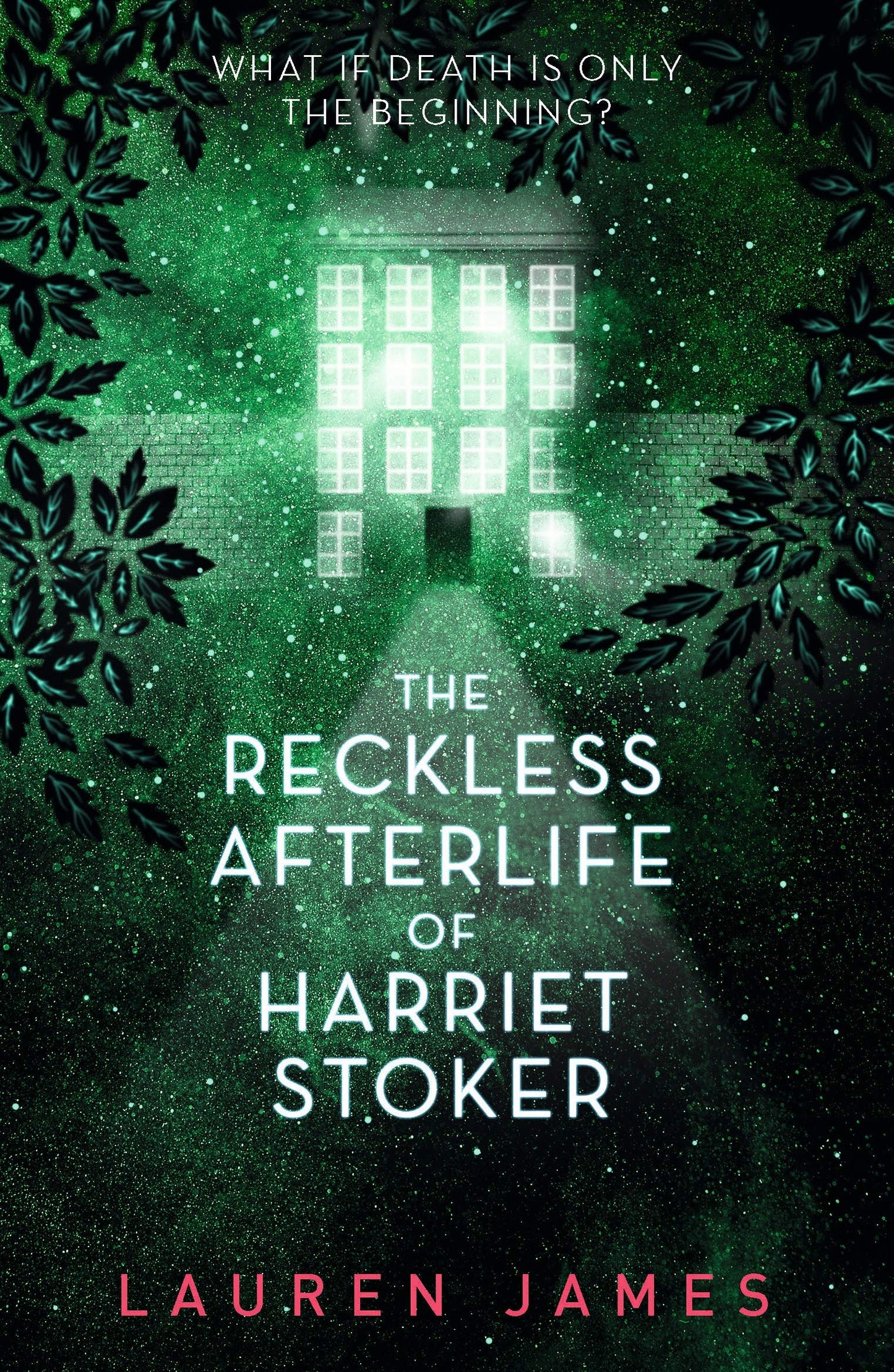 The Reckless Afterlife Of Harriet Stoker book cover
