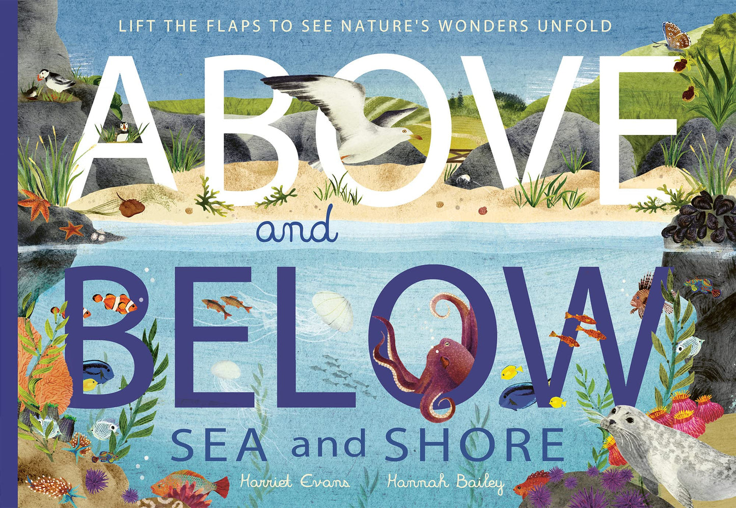 Above and Below: Sea and Shore book cover