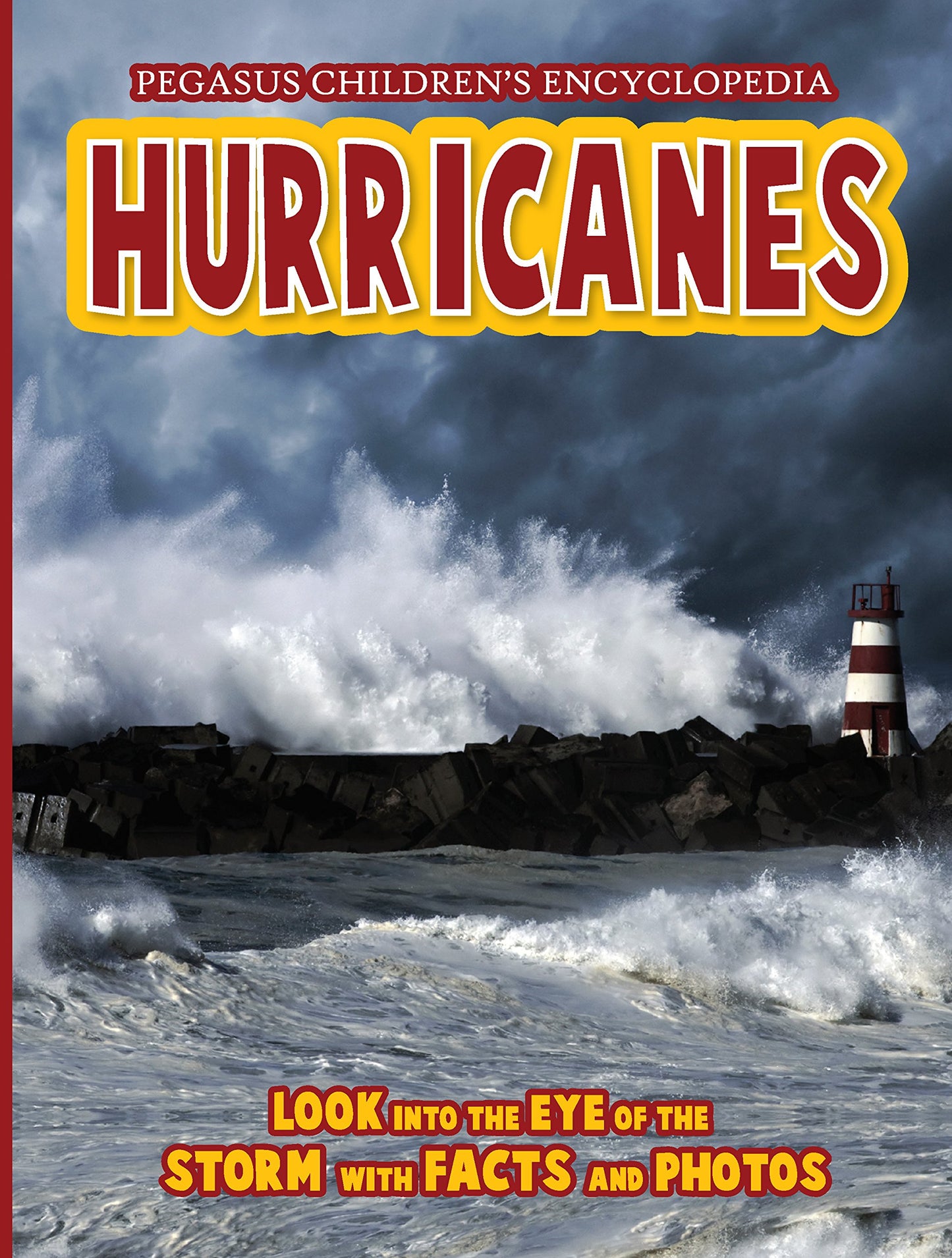 Hurricane book cover