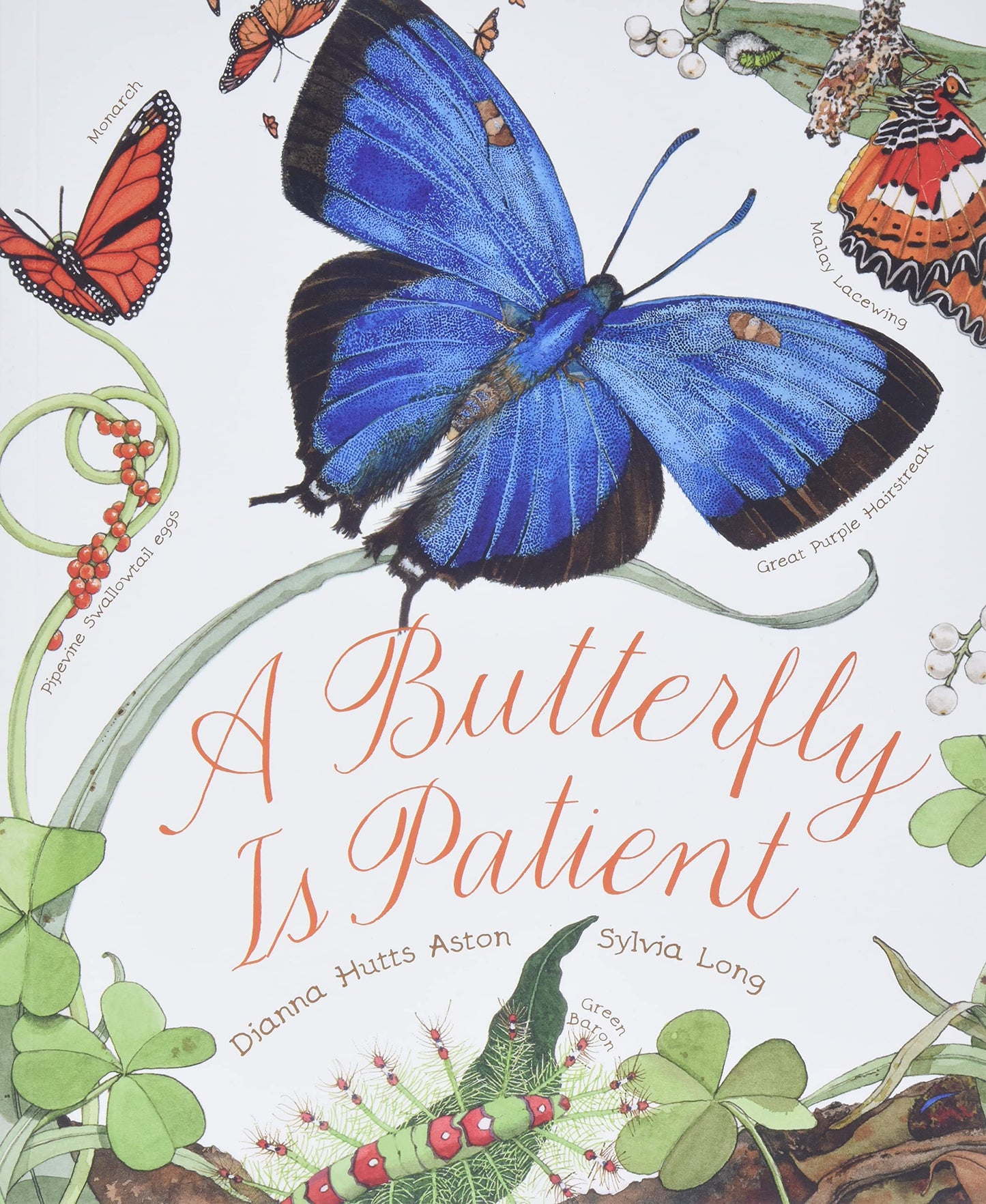 A Butterfly Is Patient: (Nature Books fo: (Nature Books for Kids Children's Books Ages 3-5 Award Winning Children's Books) (Family Treasure Nature Encylopedias) by Dianna Aston (Author), Sylvia Long (Illustrator) book cover