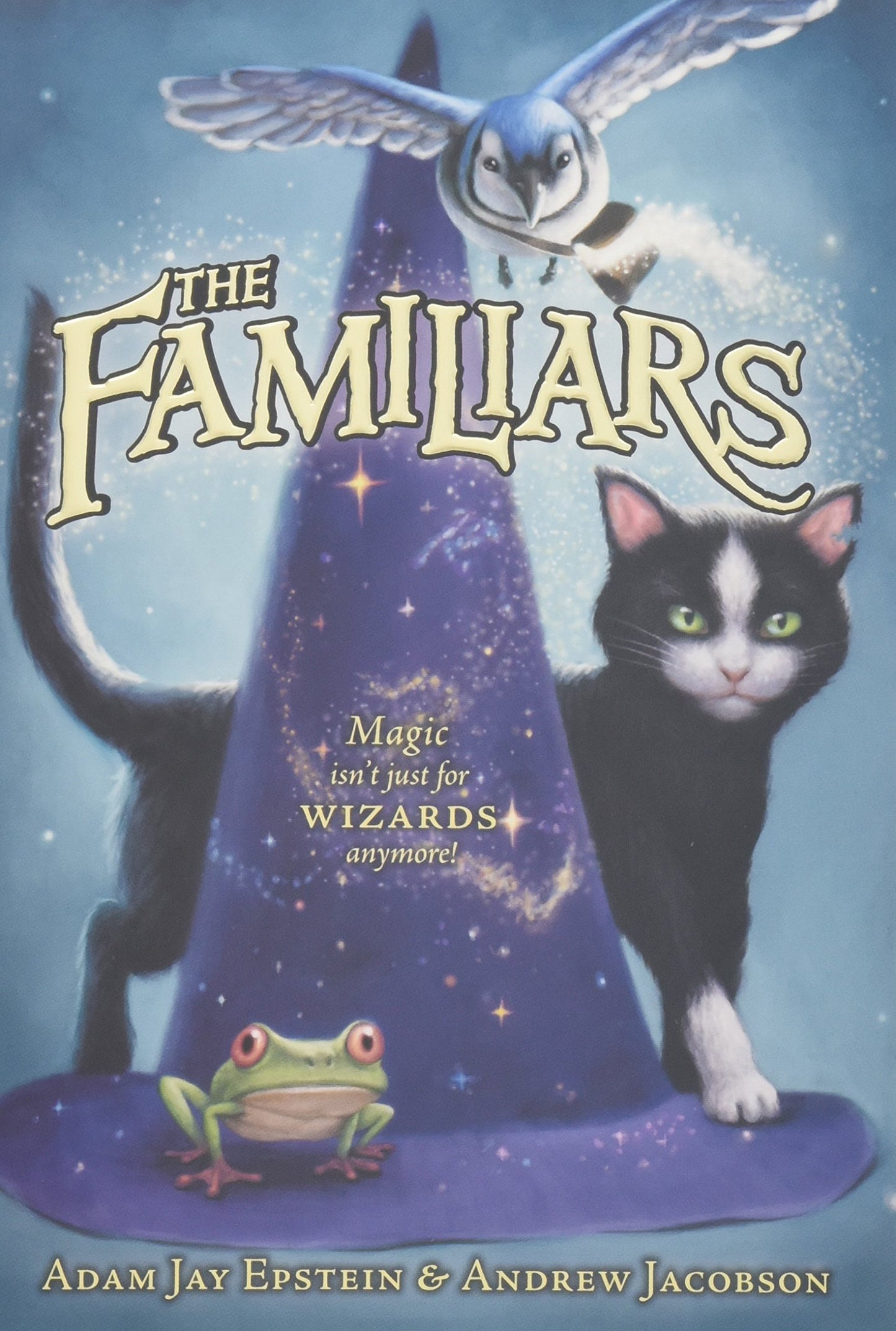 The Familiars: 01 (Familiars, 1) book cover