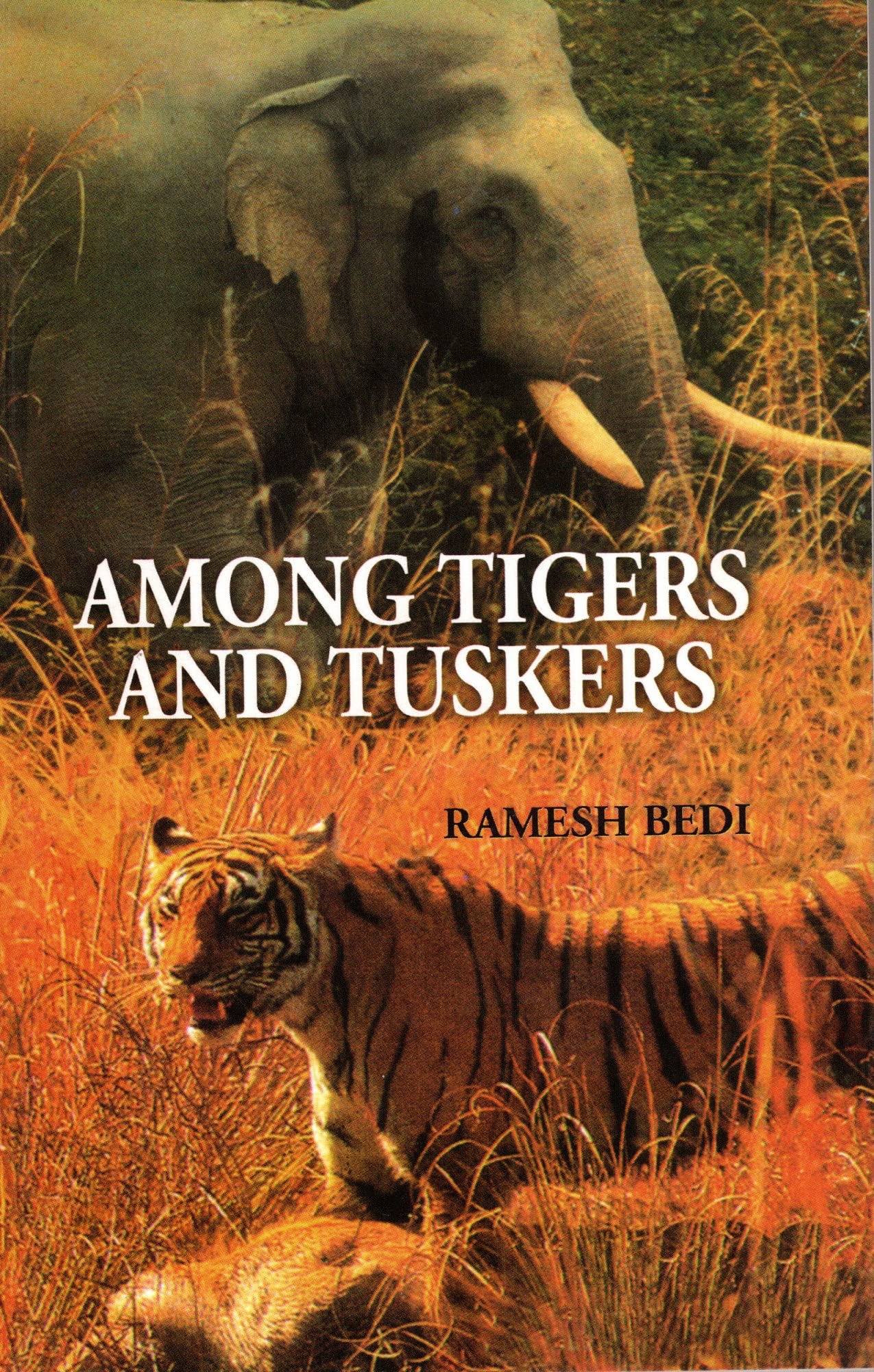 AMONG TIGER AND TUSKERS book cover
