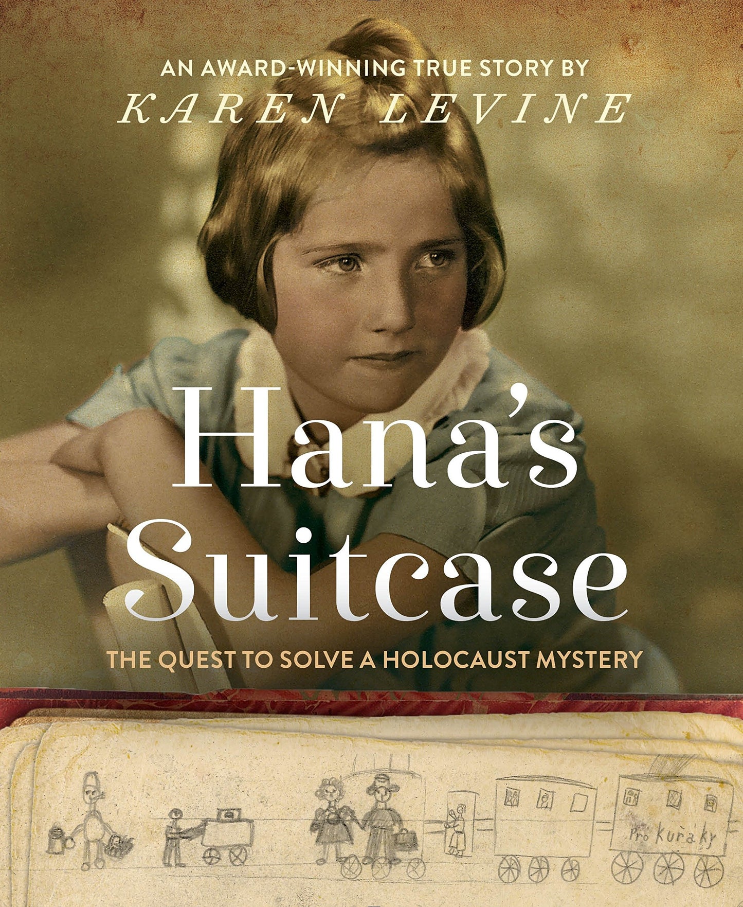 HanaS Suitcase book cover