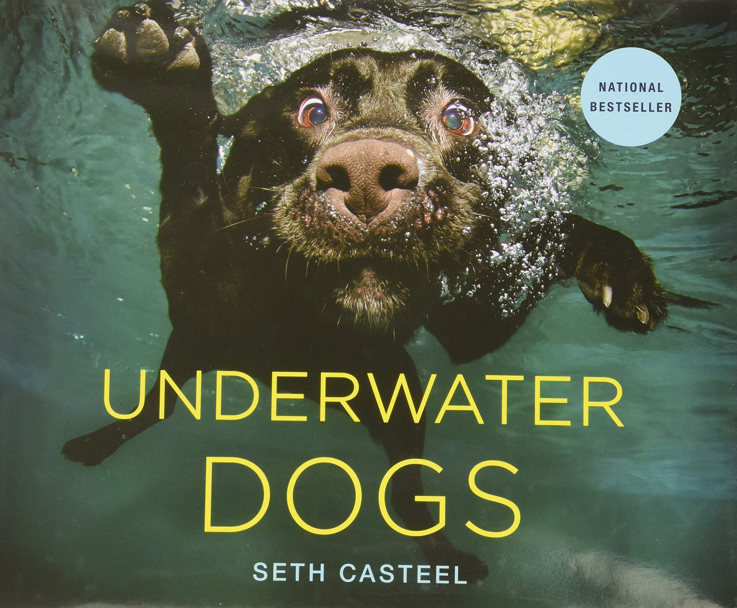 Underwater Dogs book cover