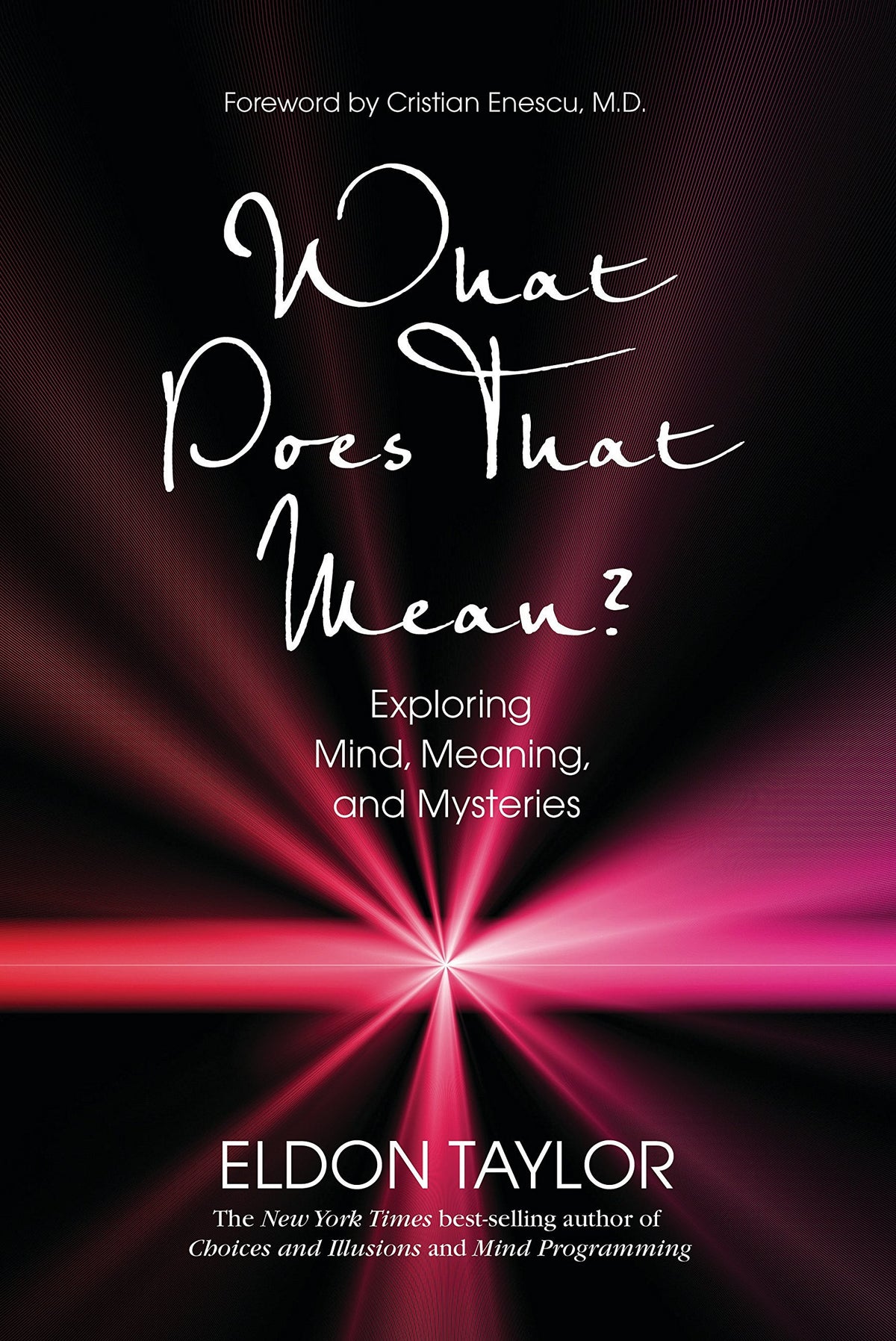 What Does That Mean?: Exploring Mind, Meaning, and Mysteries book cover