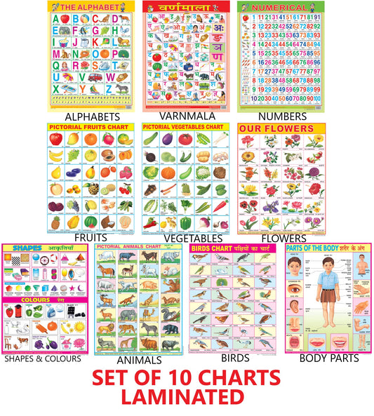 Early Learning Educational Charts set for Kids | 45X60 cm | Set of 10 | Non-Tearable and Waterproof | Double Sided Laminated | Perfect for Homeschooling, Kindergarten and Nursery Students | Alphabet, Numbers, Birds, Animals