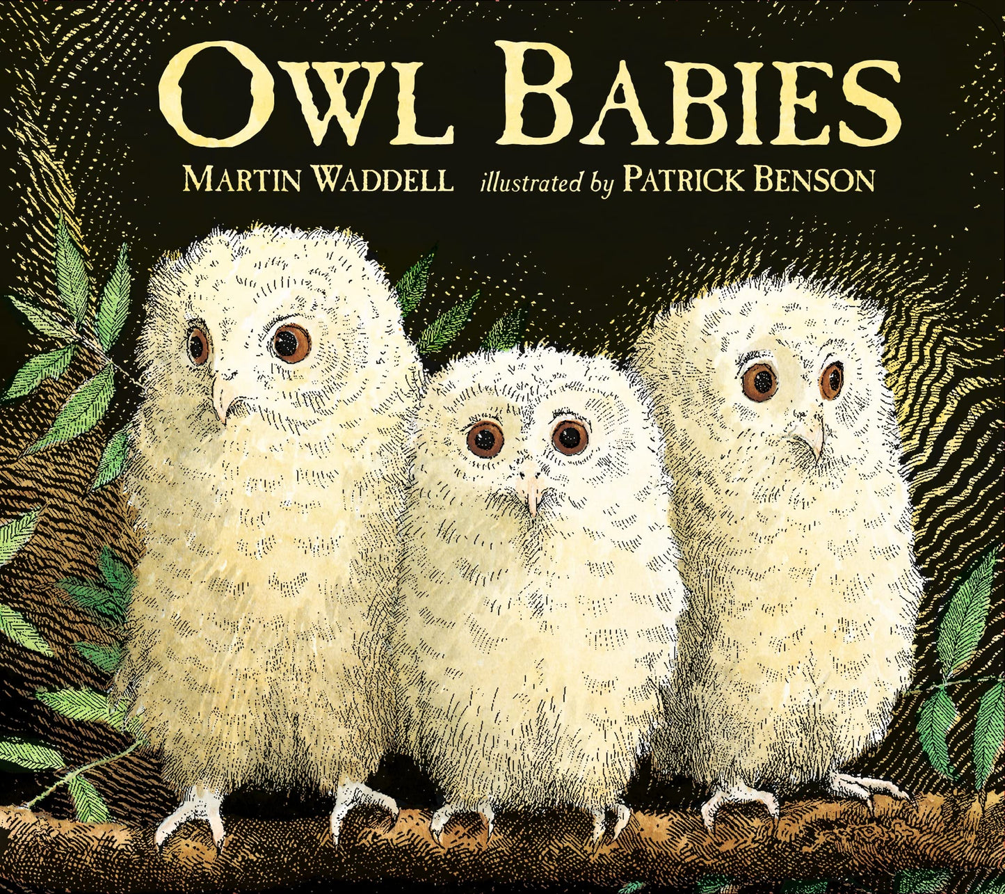 Owl Babies by Martin Waddell book cover