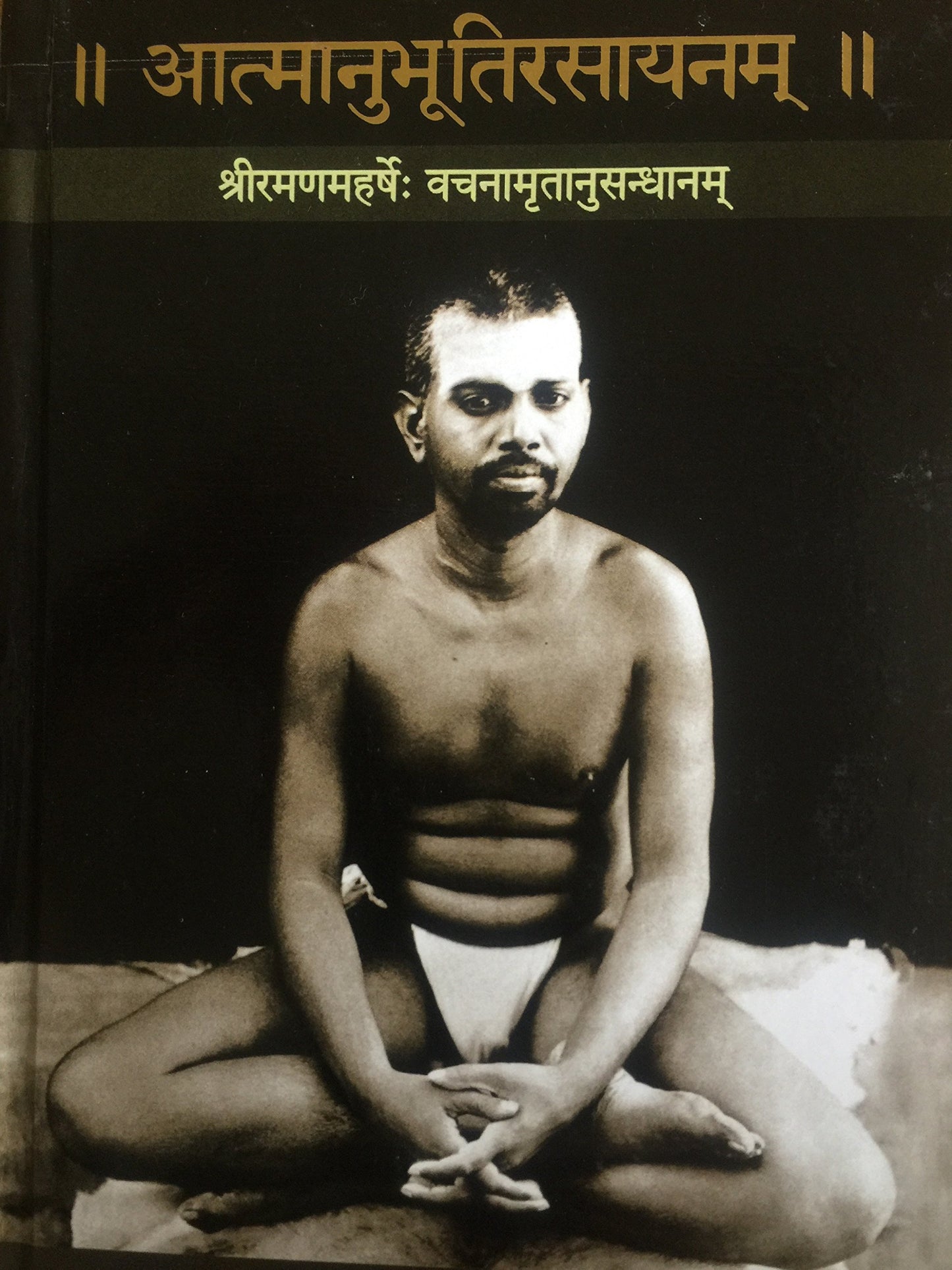 Atmanubhutirasayanam (Sanskrit) book cover