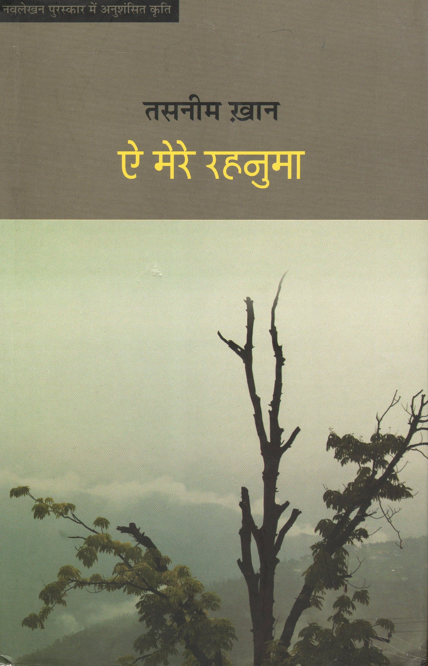 Ae Mere Rehnuma book cover