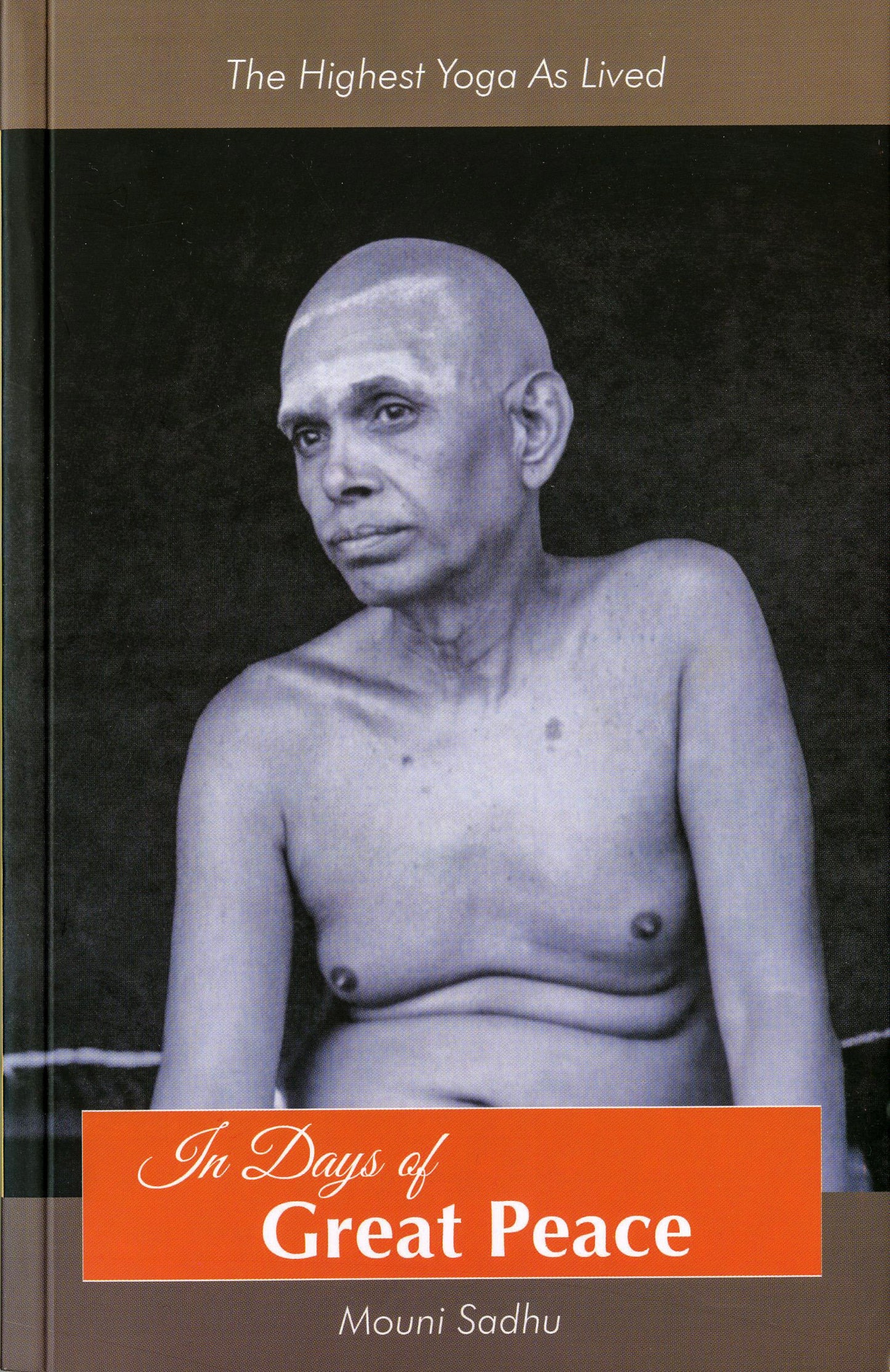 In Days of Great Peace book cover