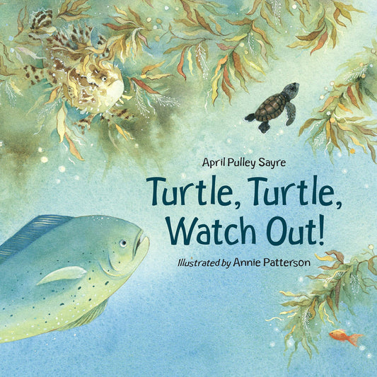 Turtle, Turtle, Watch Out! book cover