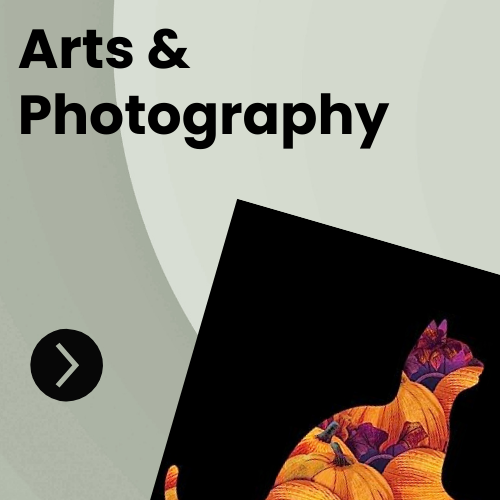 Arts & Photography