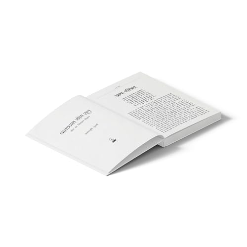 Yoga Sutras of Patanjali (Hindi Edition): Lighting the Path to Liberation