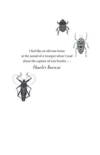 Beetle Boy (The Battle of the Beetles): 1