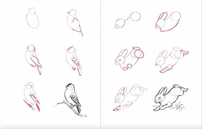 Draw 50 Animals: The Step-by-Step Way to Draw Elephants, Tigers, Dogs, Fish, Birds, and Many More...